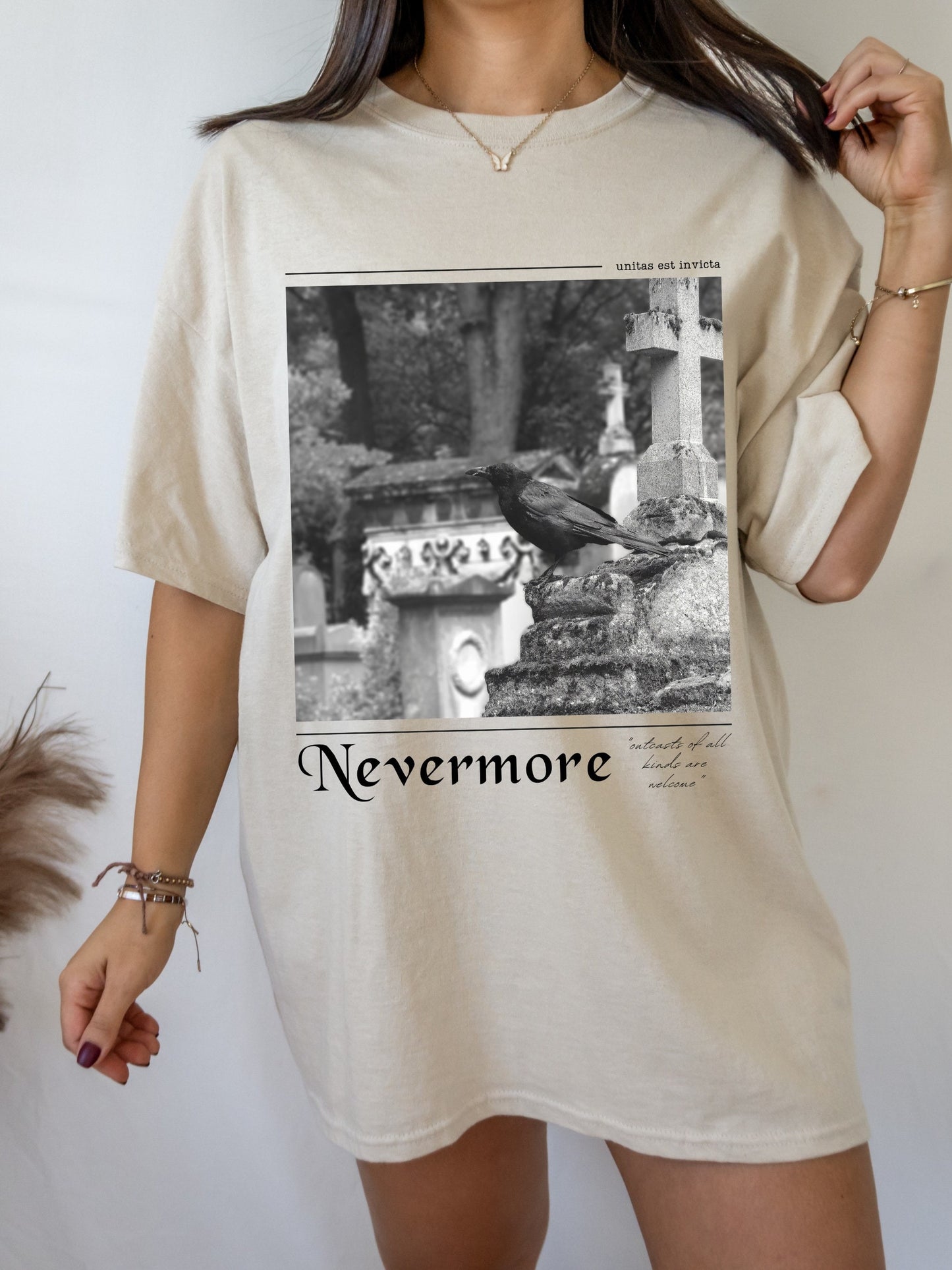 Edgar Allan Poe Nevermore Raven Dark Academy Academia Poet Literature Tee Shirt Tshirt * Goth Witchy Clothes * Christmas Gift Ideas