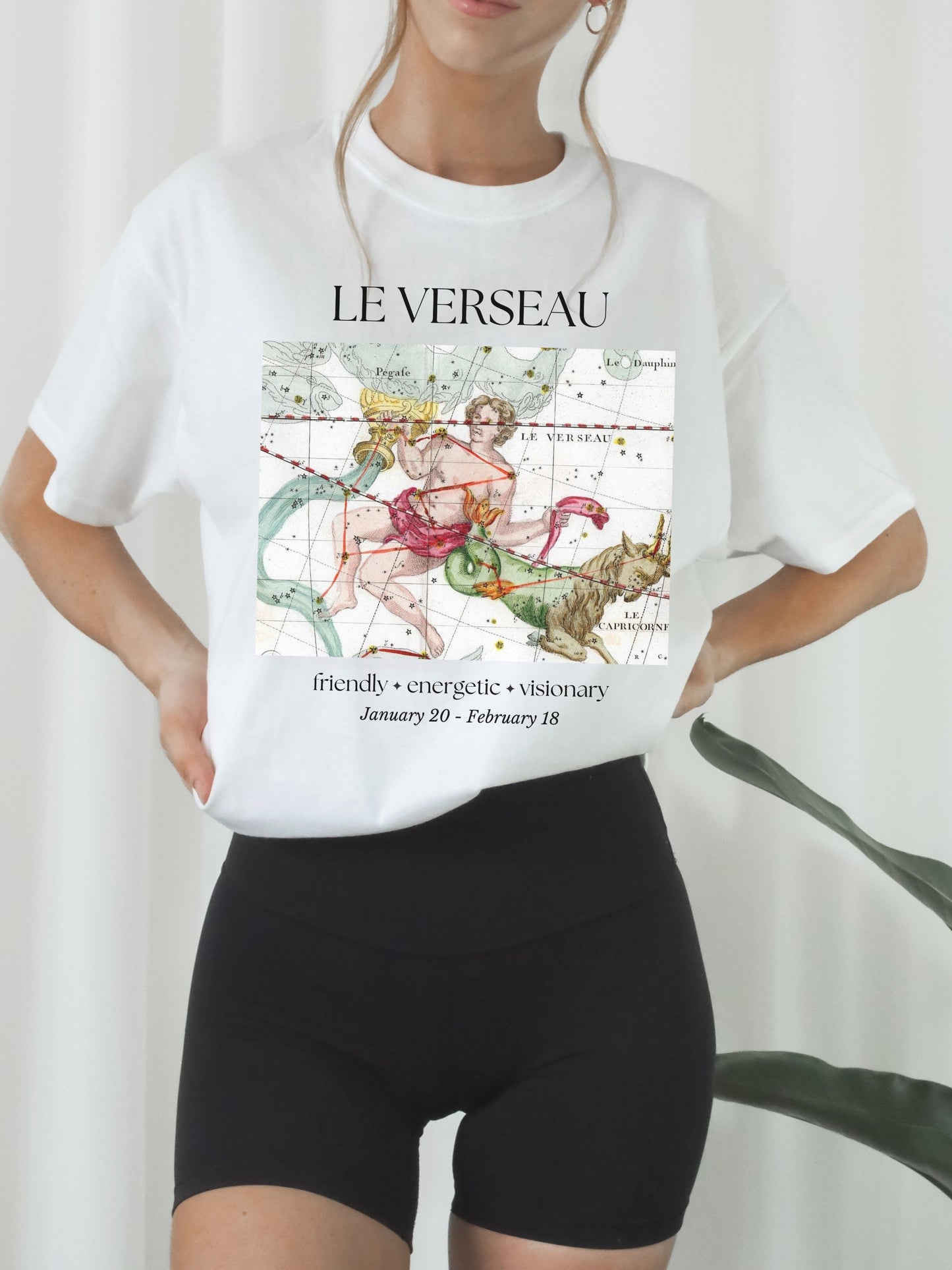 Aquarius French Zodiac Constellation Astrology Horoscope Tee Shirt * Birthday Birth Date Shirt * Air Sign Gift * Light Dark Academia