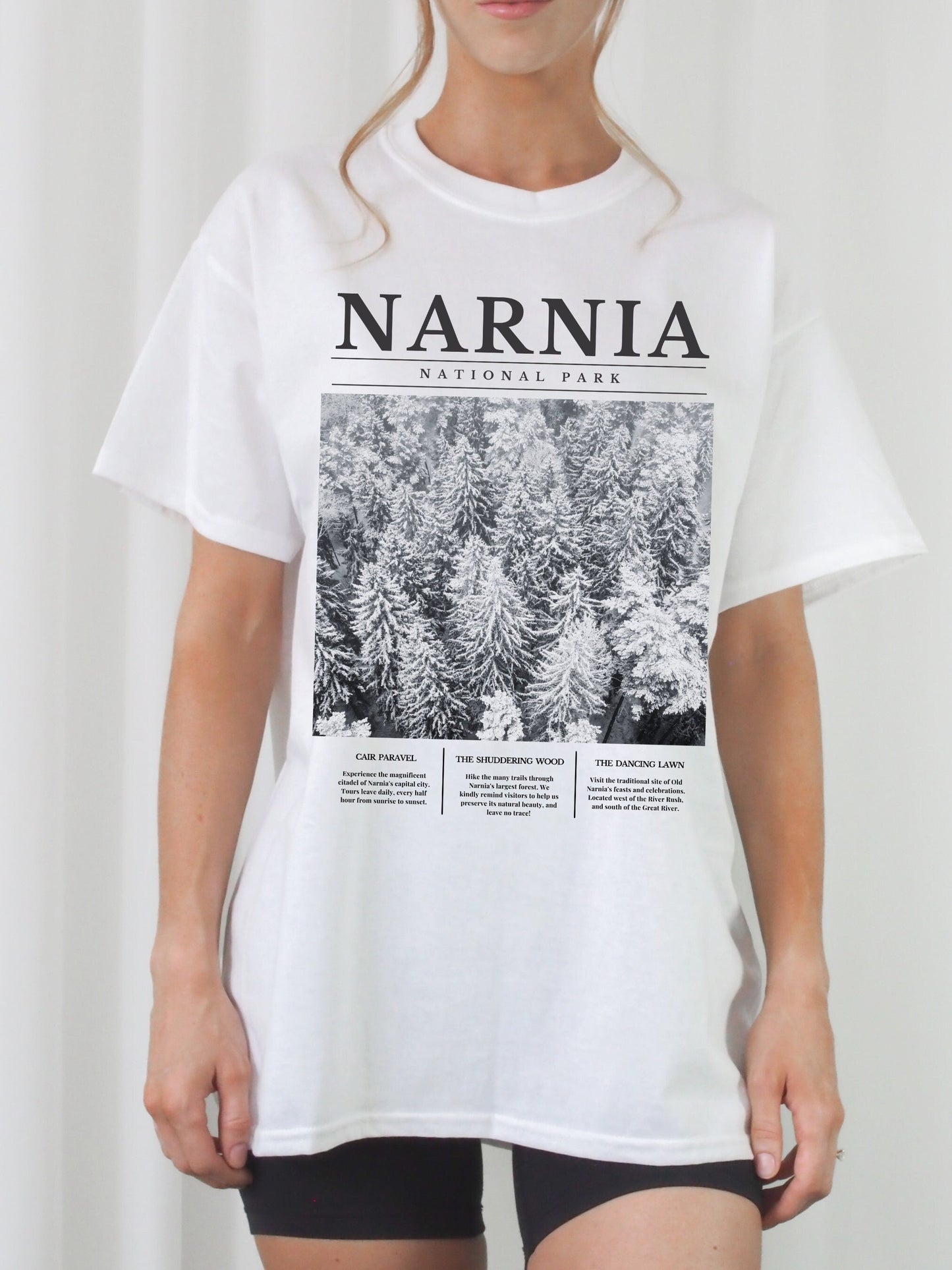 Narnia National Park Retro Minimalist Aesthetic Shirt * Granola Girl Book Merch * Bookish Booktok Book Lover Christmas Gift * Holiday Shirt