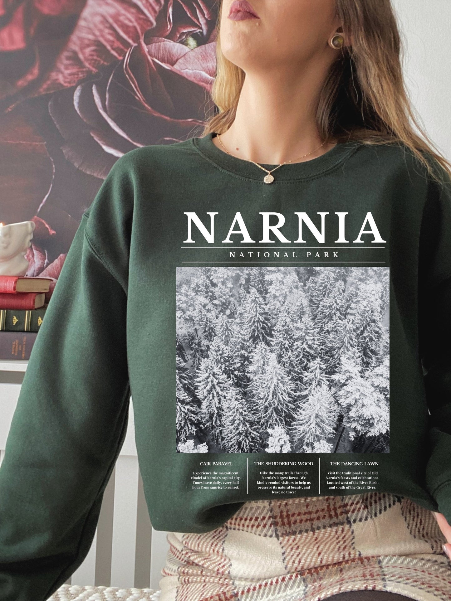 Narnia National Park Retro Minimalist Aesthetic Sweatshirt * Granola Girl Book Merch * Bookish Booktok Book Lover Christmas Holiday Gift