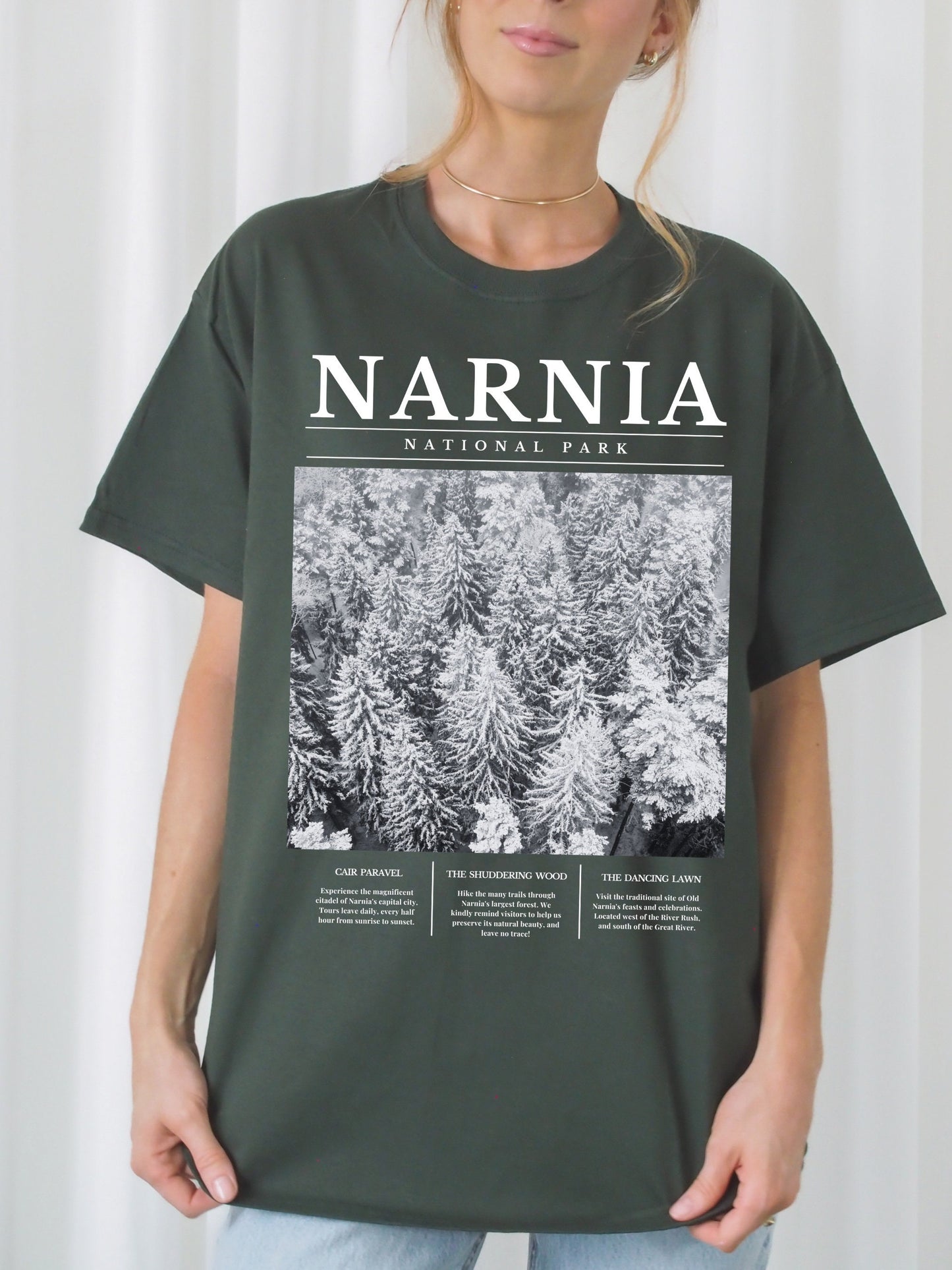 Narnia National Park Retro Minimalist Aesthetic Shirt * Granola Girl Book Merch * Bookish Booktok Book Lover Christmas Gift * Holiday Shirt