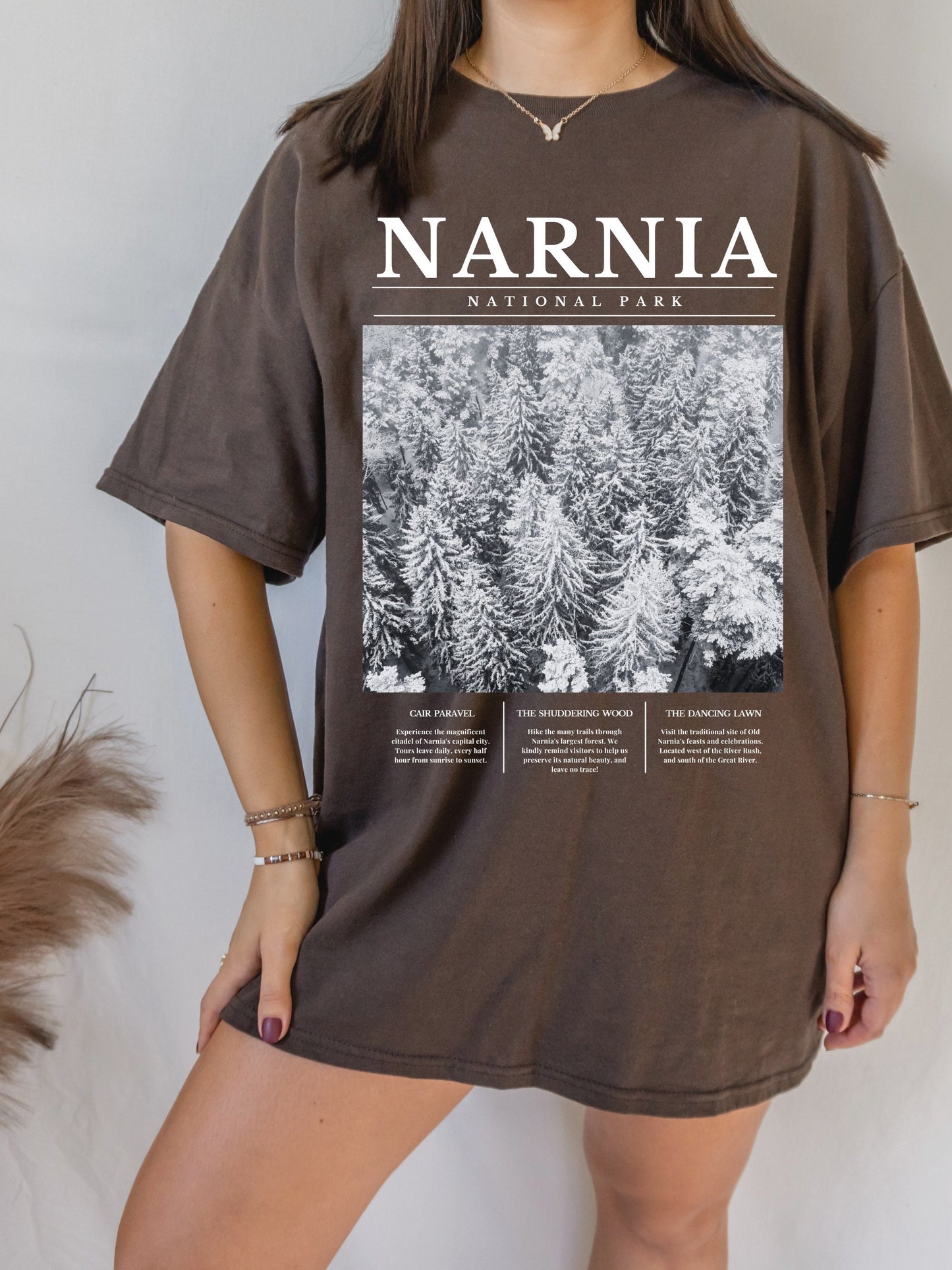 Narnia National Park Retro Minimalist Aesthetic Shirt * Granola Girl Book Merch * Bookish Booktok Book Lover Christmas Gift * Holiday Shirt