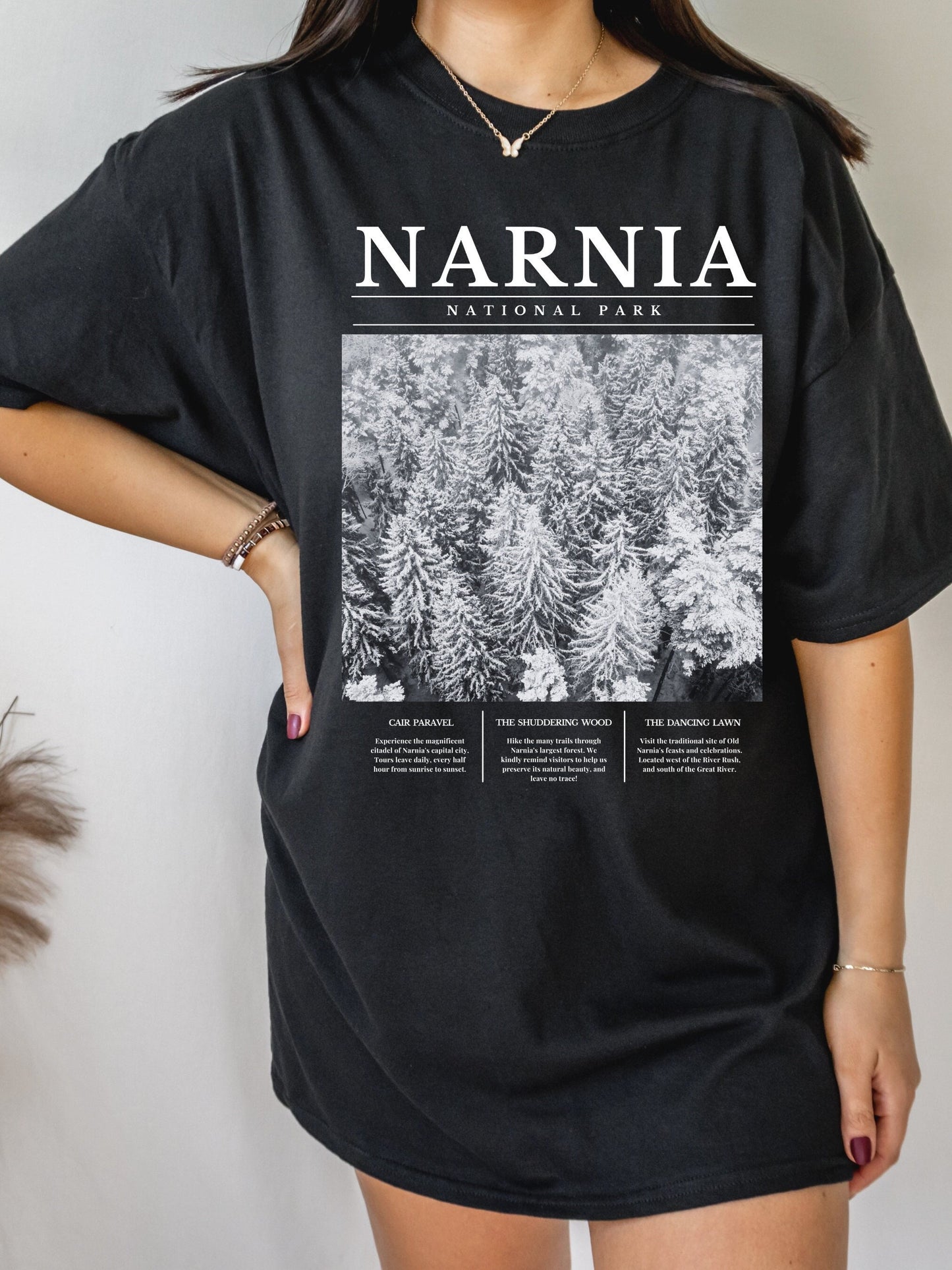 Narnia National Park Retro Minimalist Aesthetic Shirt * Granola Girl Book Merch * Bookish Booktok Book Lover Christmas Gift * Holiday Shirt