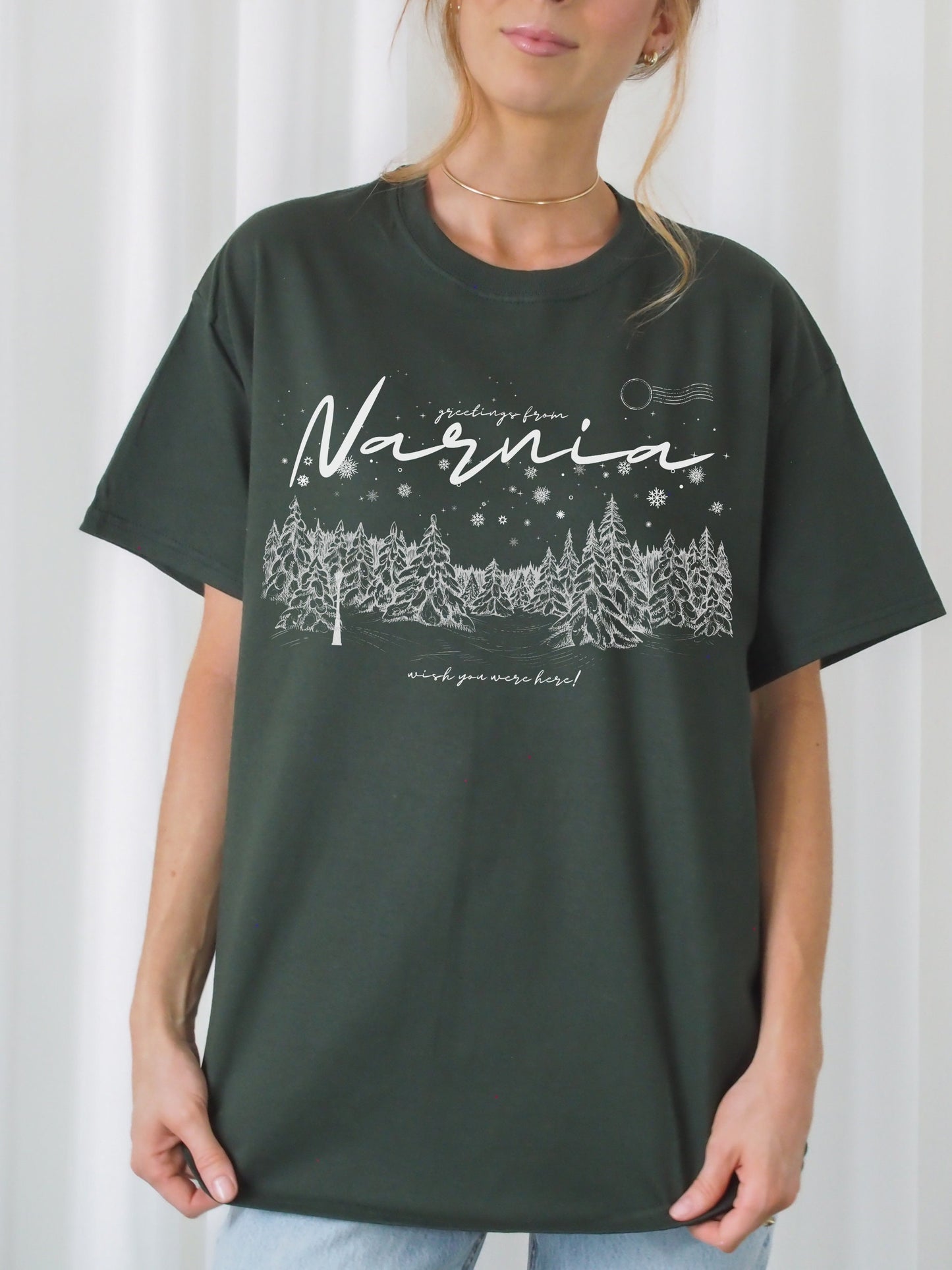Greetings from Narnia wish you were here postcard retro tee shirt * Bookish Book Lover Merch Gift for Readers * aslan courage dear heart