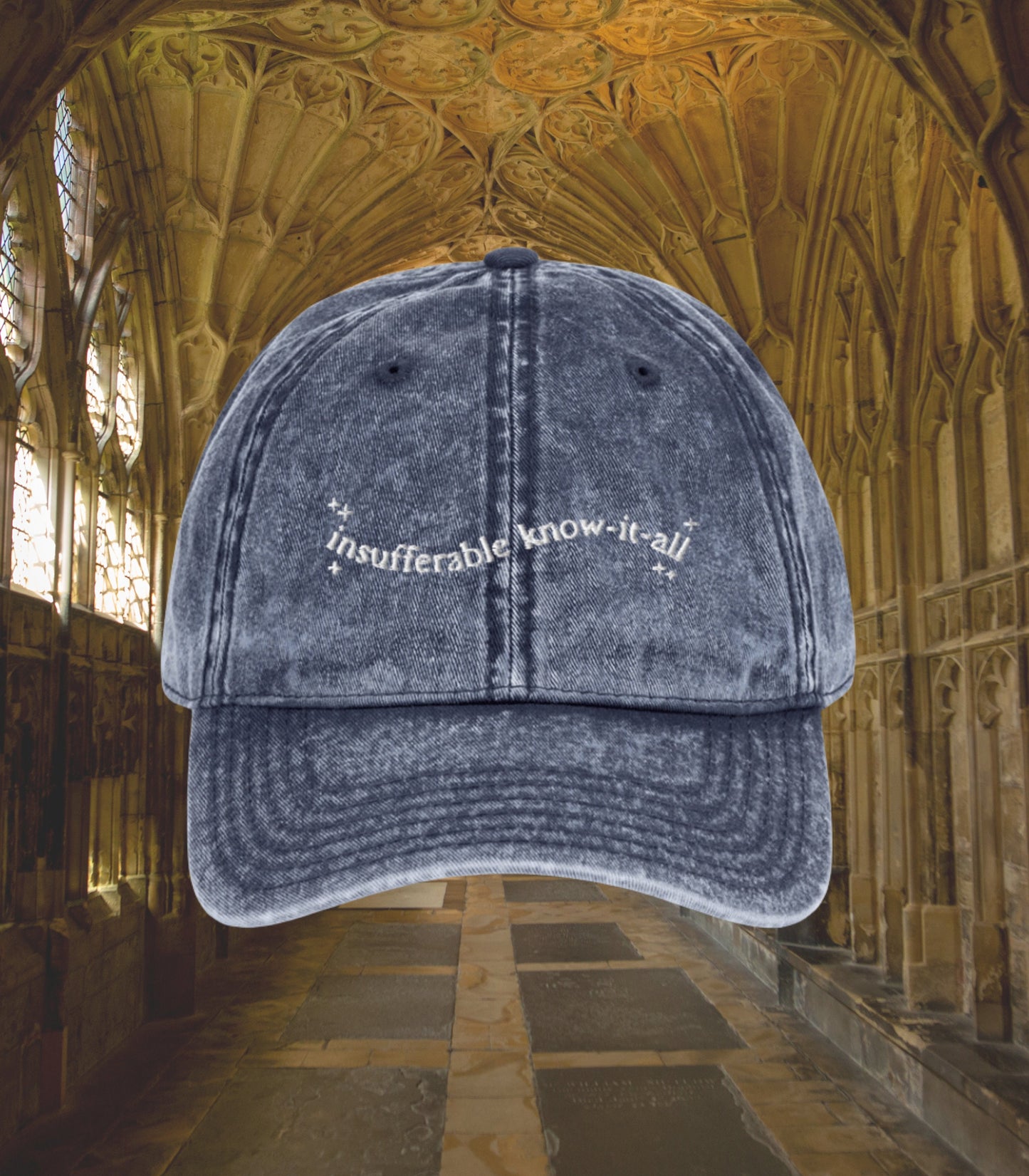 Insufferable know it all embroidered dad hat * turn to page 394 wizard school mauraders dark academia sirius remus bookish grad gift ideas