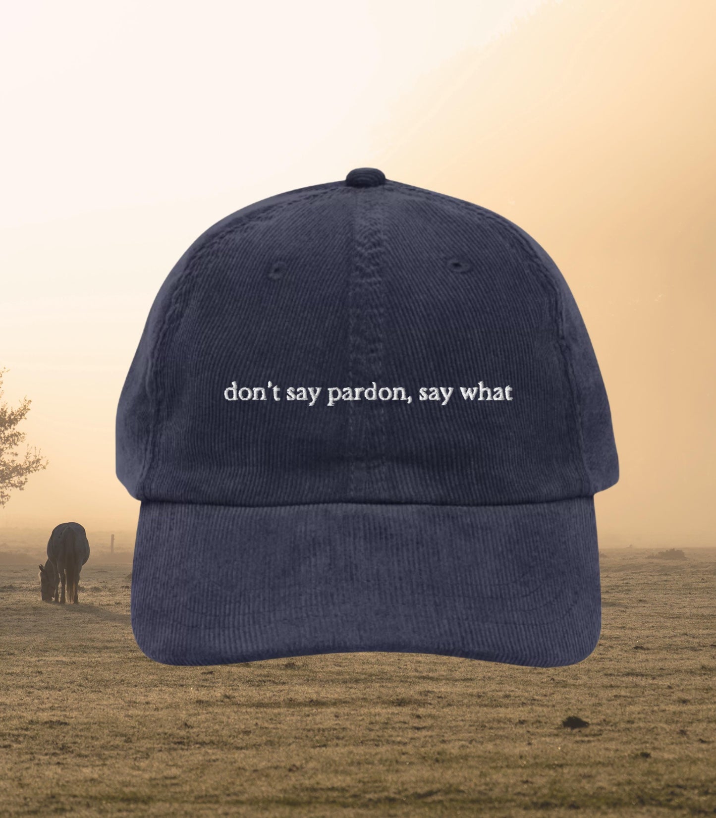 Don't say pardon, say what * Corduroy Embroidered Hat * Lady Jane Grey Book Fandom Merch * dudley enemies to lovers consider me withered