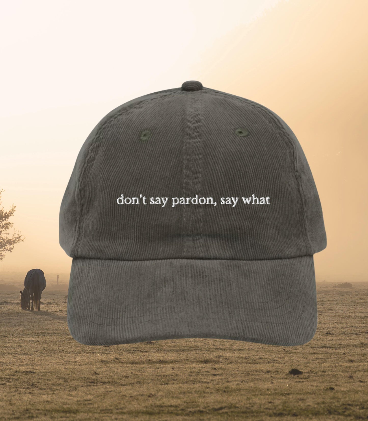 Don't say pardon, say what * Corduroy Embroidered Hat * Lady Jane Grey Book Fandom Merch * dudley enemies to lovers consider me withered