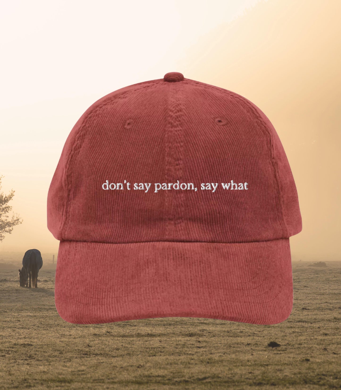 Don't say pardon, say what * Corduroy Embroidered Hat * Lady Jane Grey Book Fandom Merch * dudley enemies to lovers consider me withered