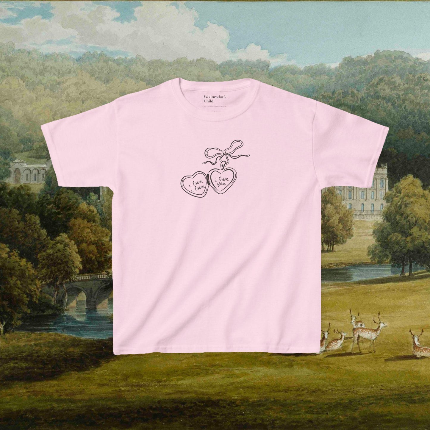 Mr Darcy's Proposal y2k Cotton Baby Tee * Pride & Prejudice Jane Austen Merch * Fandom Bookish Gift Pemberley Most Ardently Hand Flex