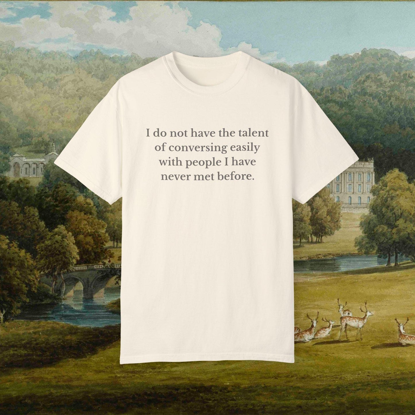 Pride & Prejudice Funny Introverted Cotton Colors Tee * Jane Austen 20th anniversary Merch Fandom Bookish Gift Pemberley Mr Darcy Hand Flex