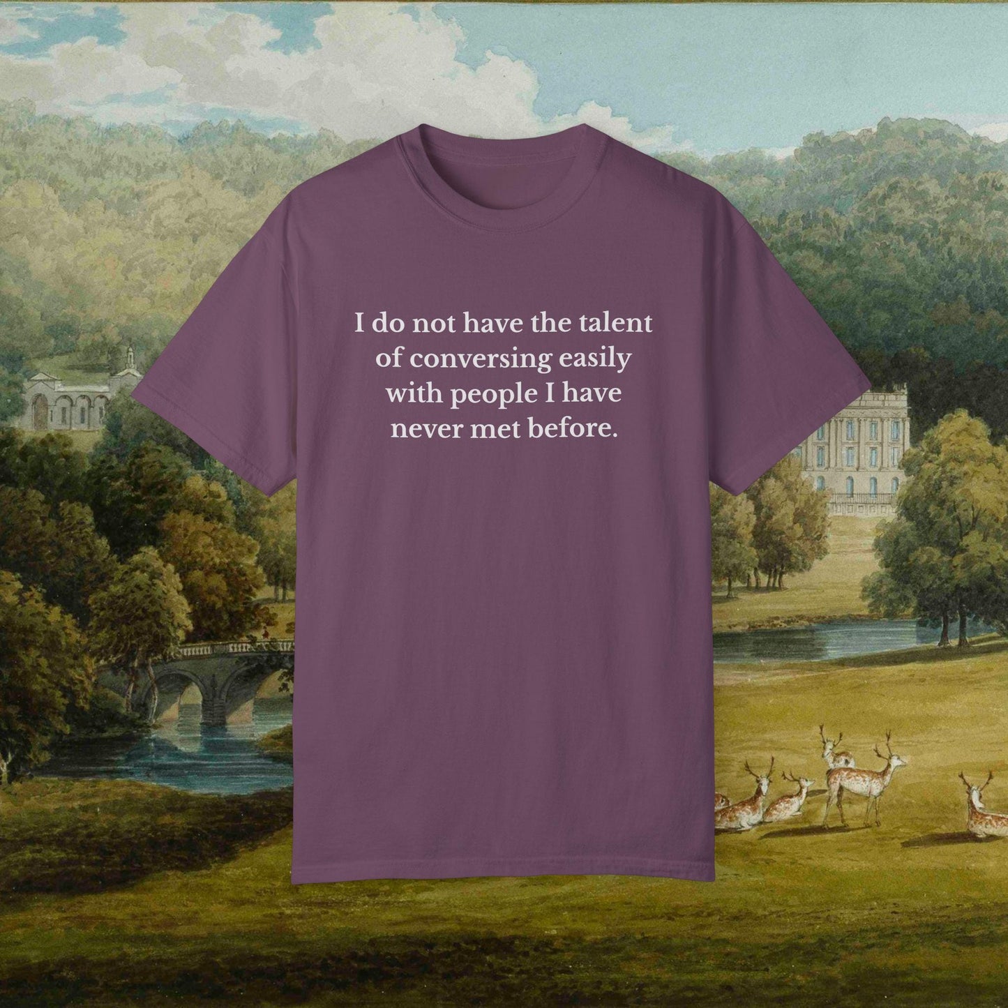 Pride & Prejudice Funny Introverted Cotton Colors Tee * Jane Austen 20th anniversary Merch Fandom Bookish Gift Pemberley Mr Darcy Hand Flex
