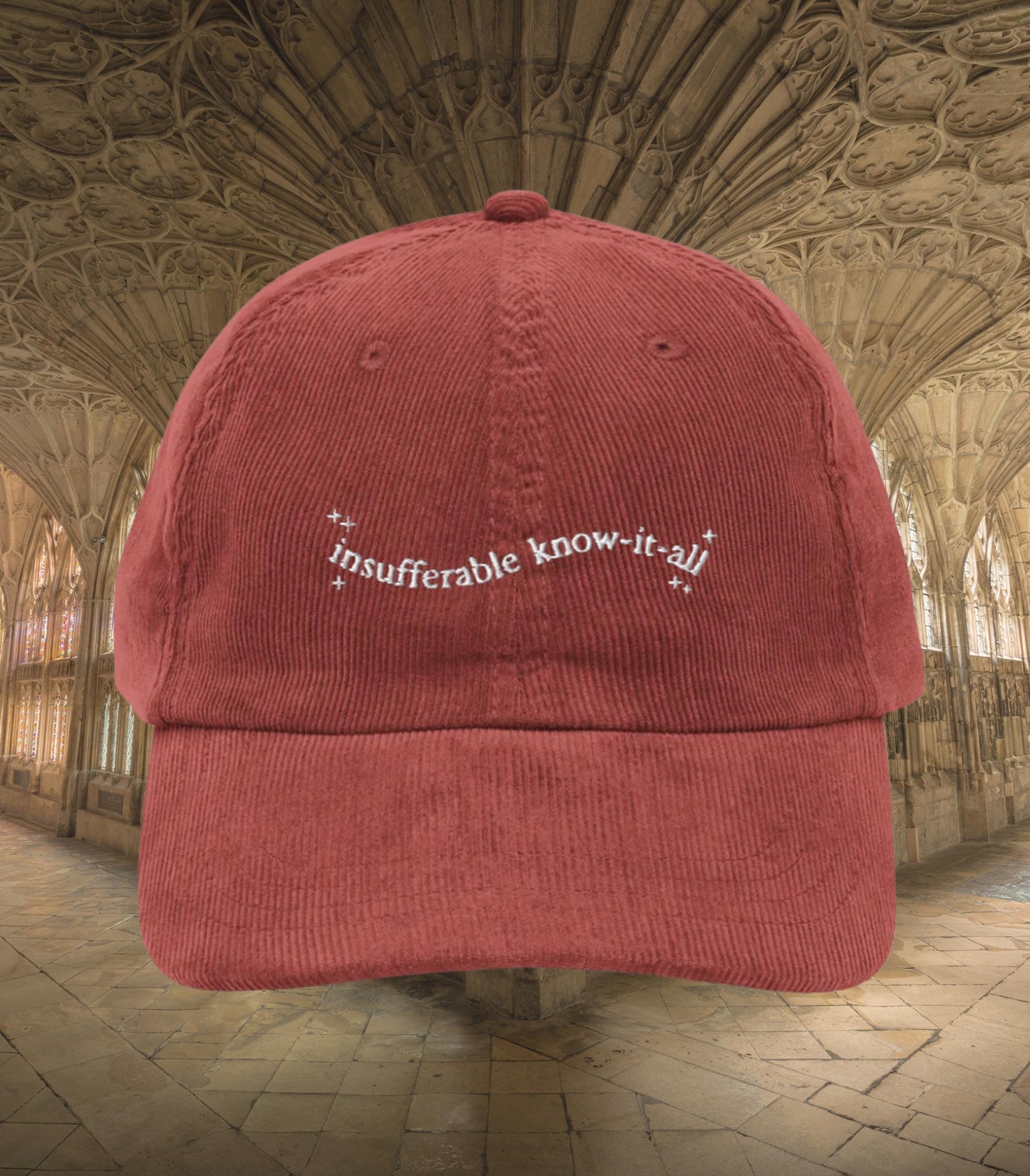Insufferable know it all embroidered corduroy dad hat turn to page 394 wizard school marauders dark academia sirius remus bookish grad gift