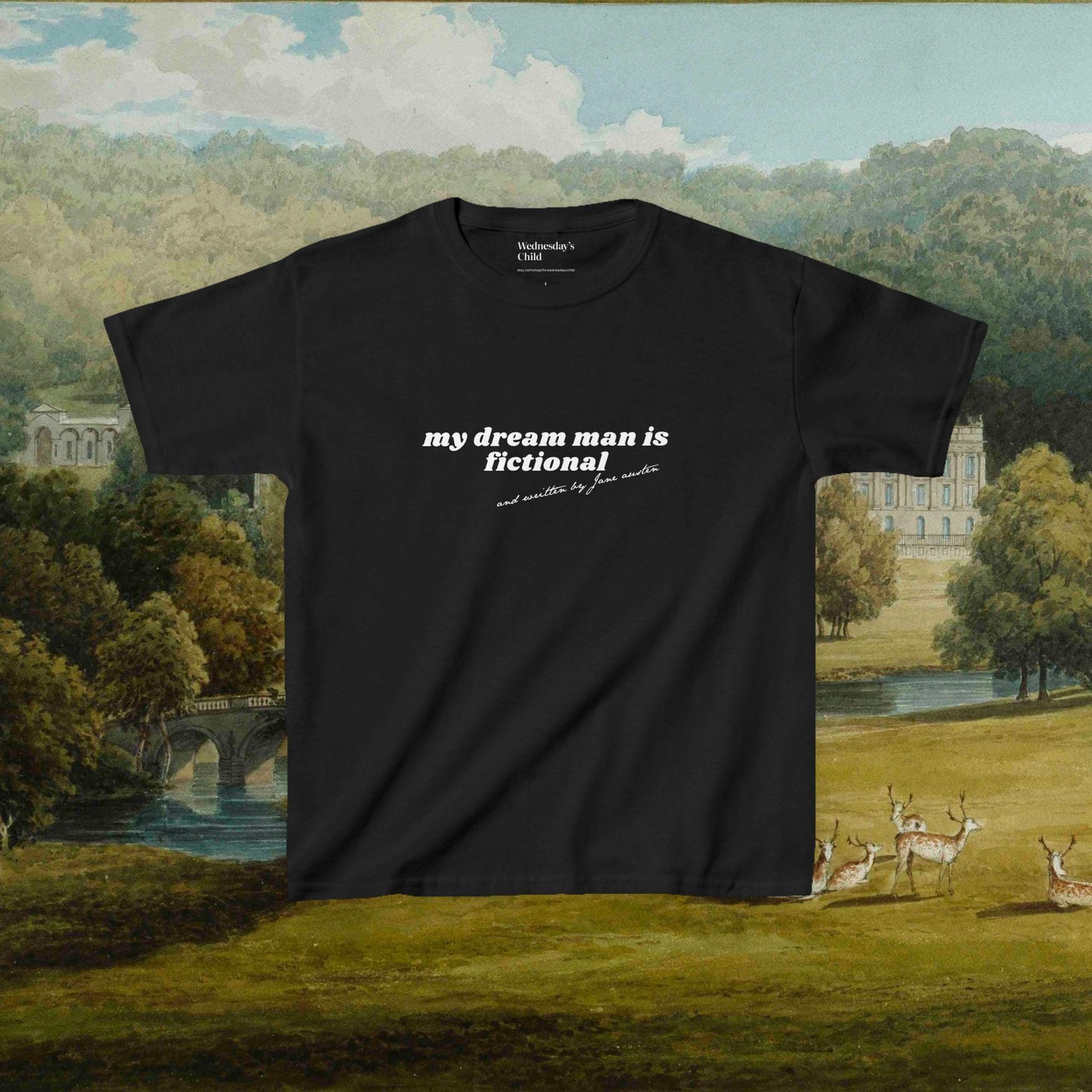 Pride & Prejudice Dream Man Coquette y2k Baby Tee * 20th Anniversary Mr Darcy Pemberley Written By Women Jane Austen Movie Book Lover Gift