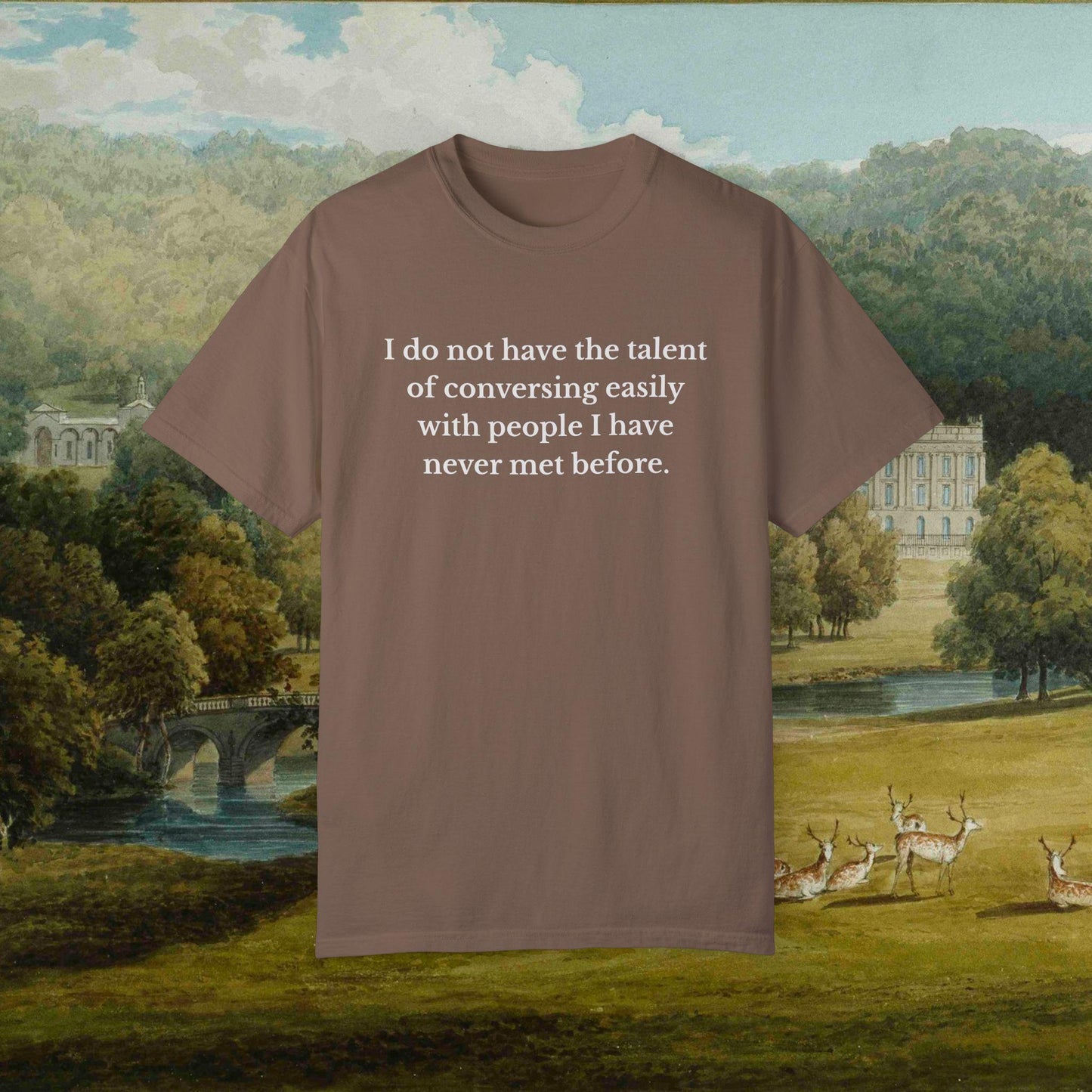 Pride & Prejudice Funny Introverted Cotton Colors Tee * Jane Austen 20th anniversary Merch Fandom Bookish Gift Pemberley Mr Darcy Hand Flex