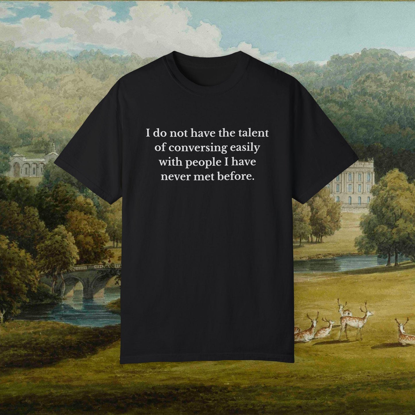 Pride & Prejudice Funny Introverted Cotton Colors Tee * Jane Austen 20th anniversary Merch Fandom Bookish Gift Pemberley Mr Darcy Hand Flex