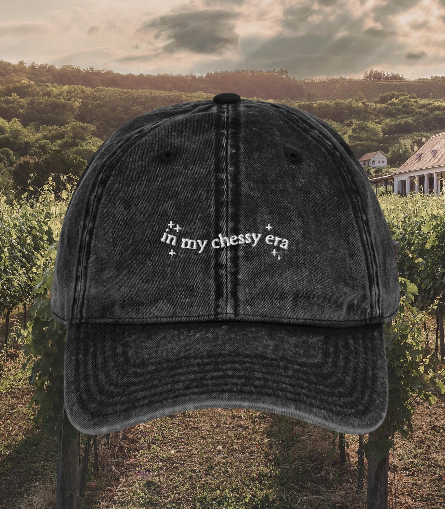 In My Chessy Era Embroidered Denim Baseball Hat * Coastal Hallie Annie Meredith Blake * Parker Knoll Camp Walden * Parent Trap