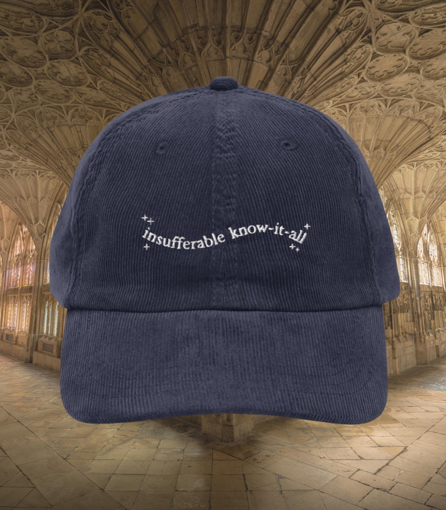 Insufferable know it all embroidered corduroy dad hat turn to page 394 wizard school marauders dark academia sirius remus bookish grad gift