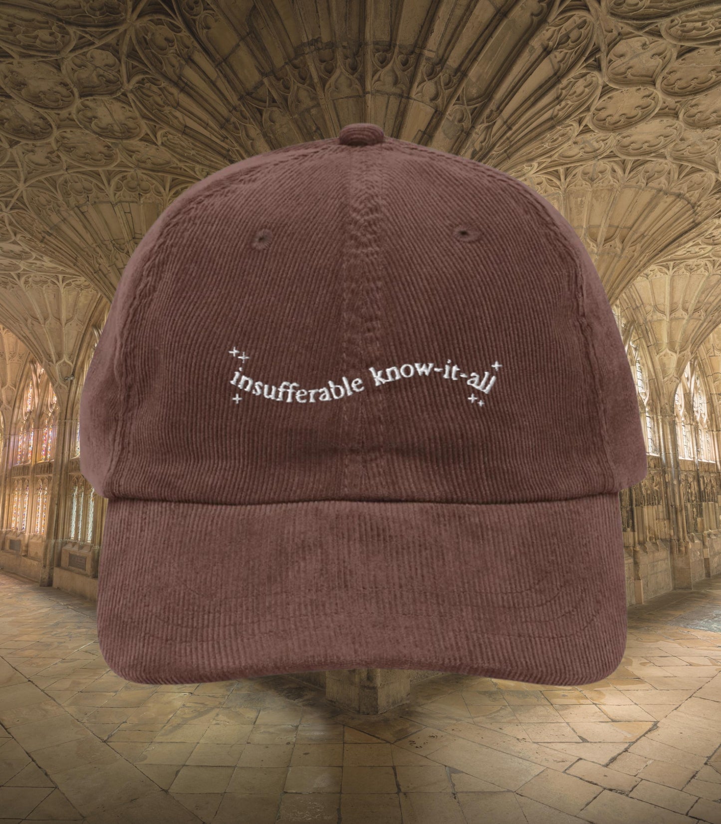 Insufferable know it all embroidered corduroy dad hat turn to page 394 wizard school marauders dark academia sirius remus bookish grad gift