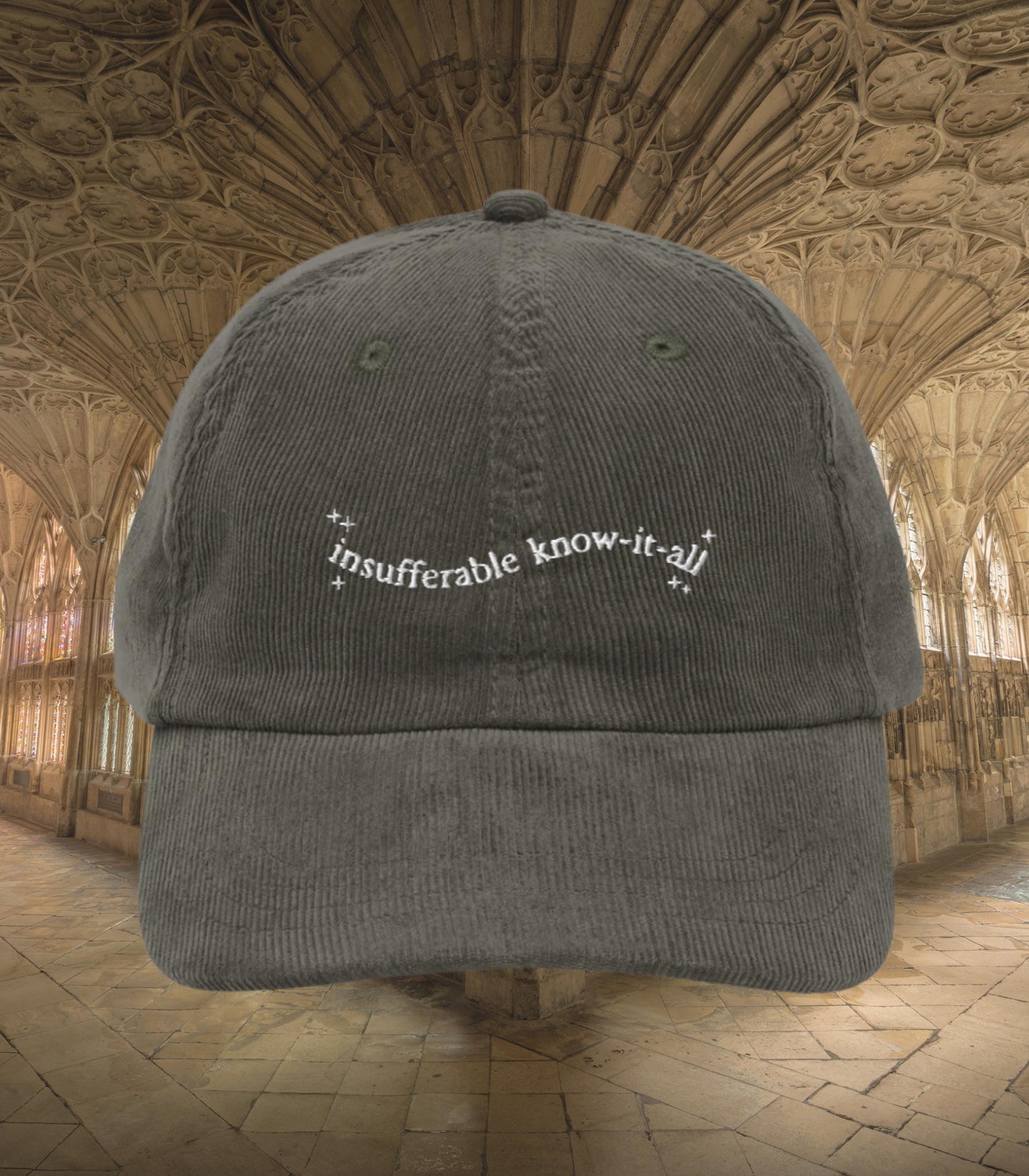 Insufferable know it all embroidered corduroy dad hat turn to page 394 wizard school marauders dark academia sirius remus bookish grad gift