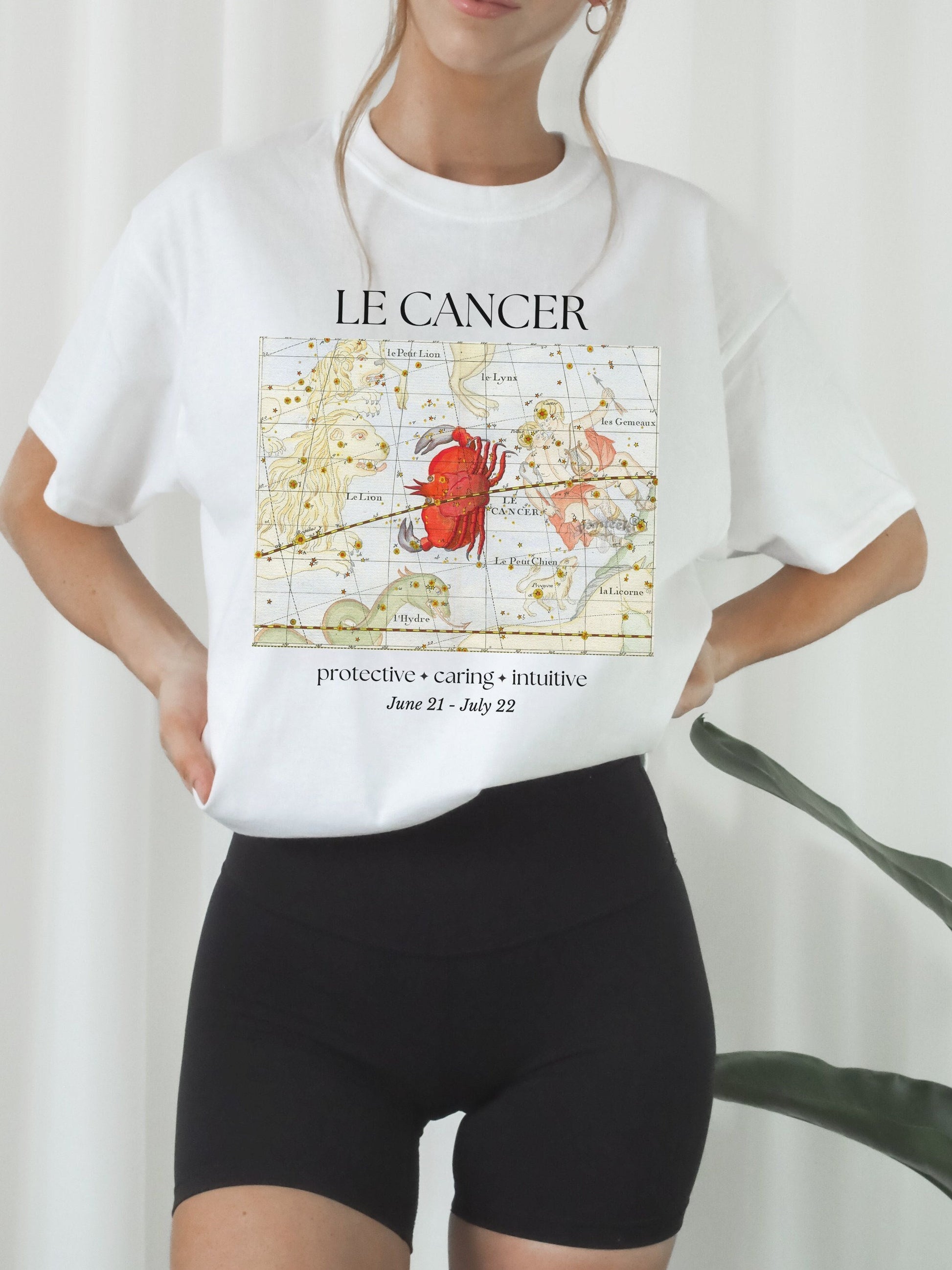 Cancer French Zodiac Constellation Astrology Horoscope Tee Shirt * Cancer Birthday Birth Date Shirt * Fire Sign Gift * Light Dark Academia