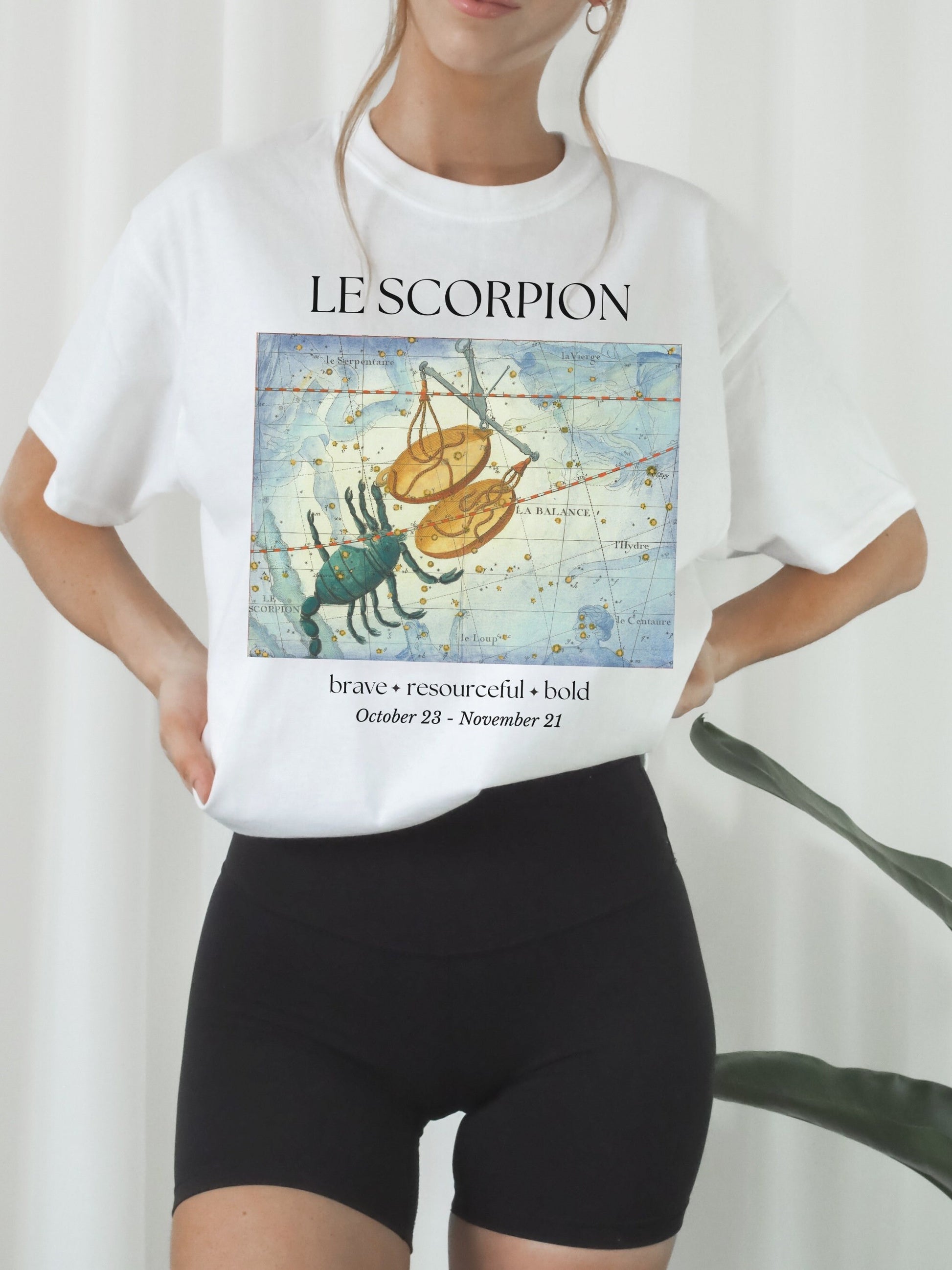 Scorpio French Zodiac Constellation Astrology Horoscope Tee Shirt * Scorpio Birthday Birth Date Shirt * Water Sign * Light Dark Academia