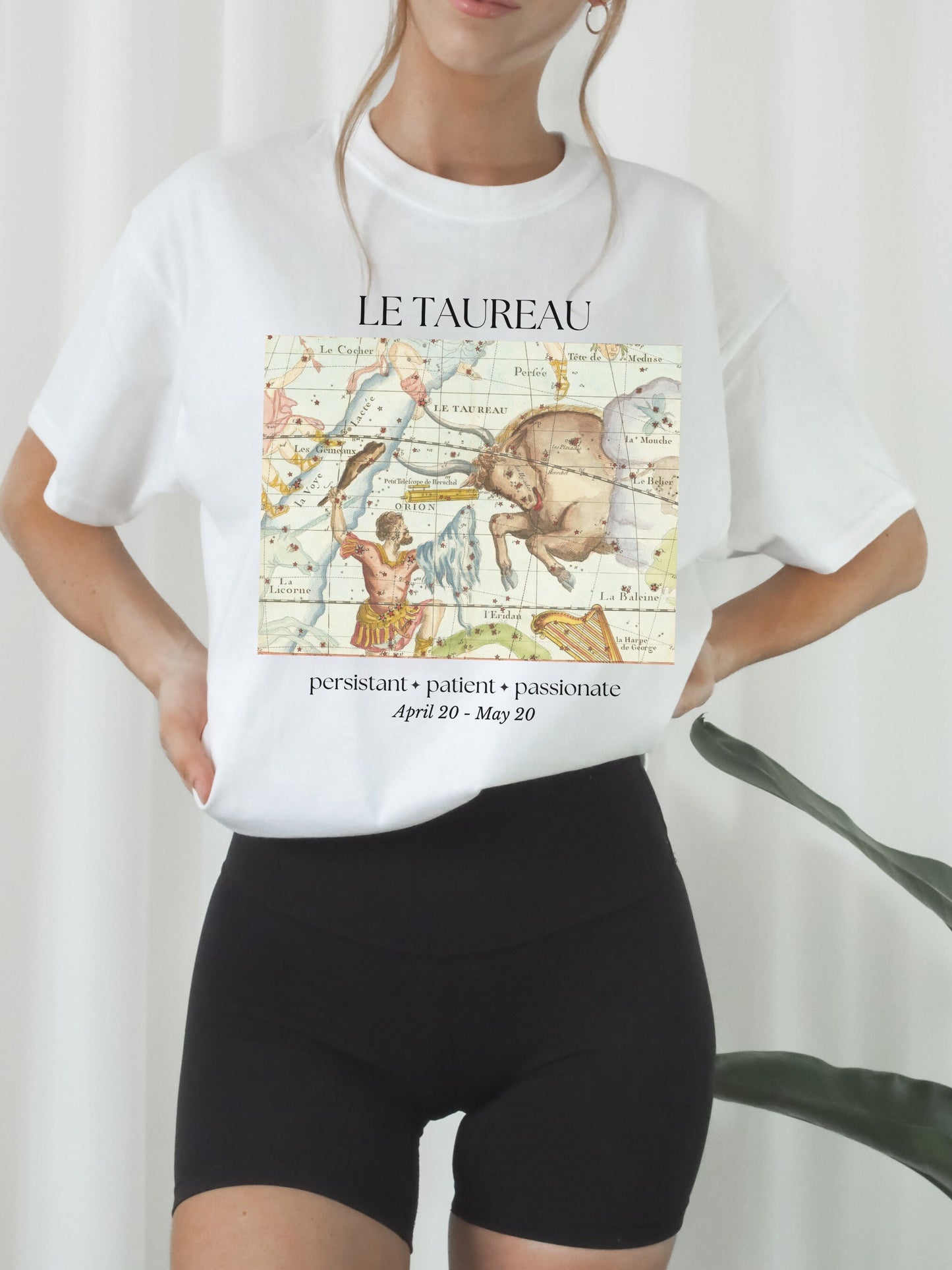 Taurus French Zodiac Constellation Astrology Sweatshirt * Taurus Birthday Birth Date Shirt * Earth Sign Gift * Horoscope Gift