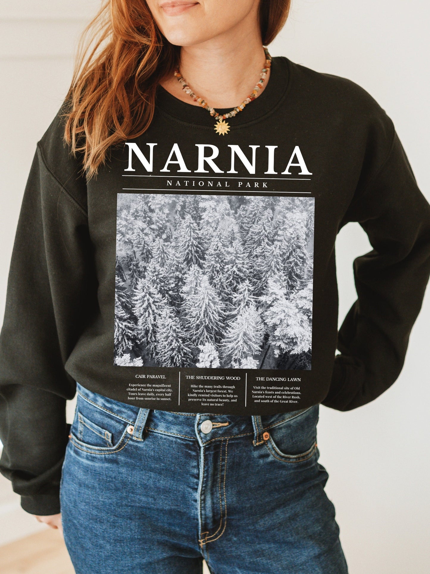 Narnia National Park Retro Minimalist Aesthetic Sweatshirt * Granola Girl Book Merch * Bookish Booktok Book Lover Christmas Holiday Gift