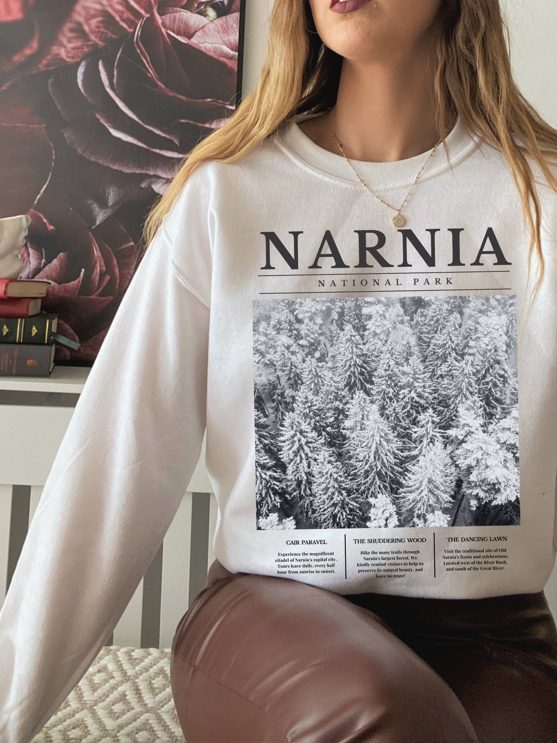 Narnia National Park Retro Minimalist Aesthetic Sweatshirt * Granola Girl Book Merch * Bookish Booktok Book Lover Christmas Holiday Gift