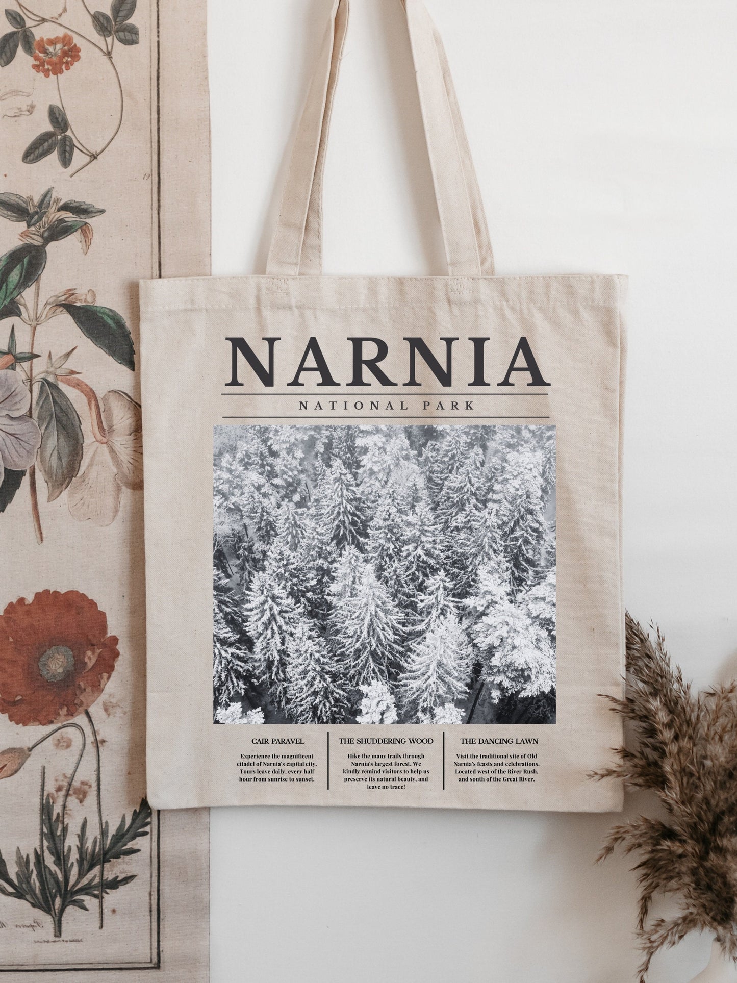 Narnia National Park Tote Book Bag * Retro Minimalist Aesthetic Sweatshirt * Granola Girl Book Merch * Bookish Booktok Book Lover Gift