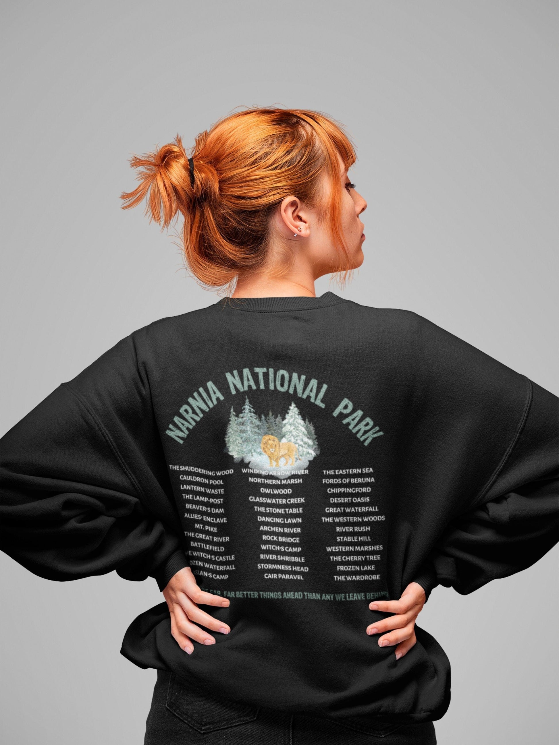 Narnia Fictional National Park Retro Minimalist Aesthetic Sweatshirt * Granola Girl Book Merch * Bookish Booktok Book Lover Gift for Readers