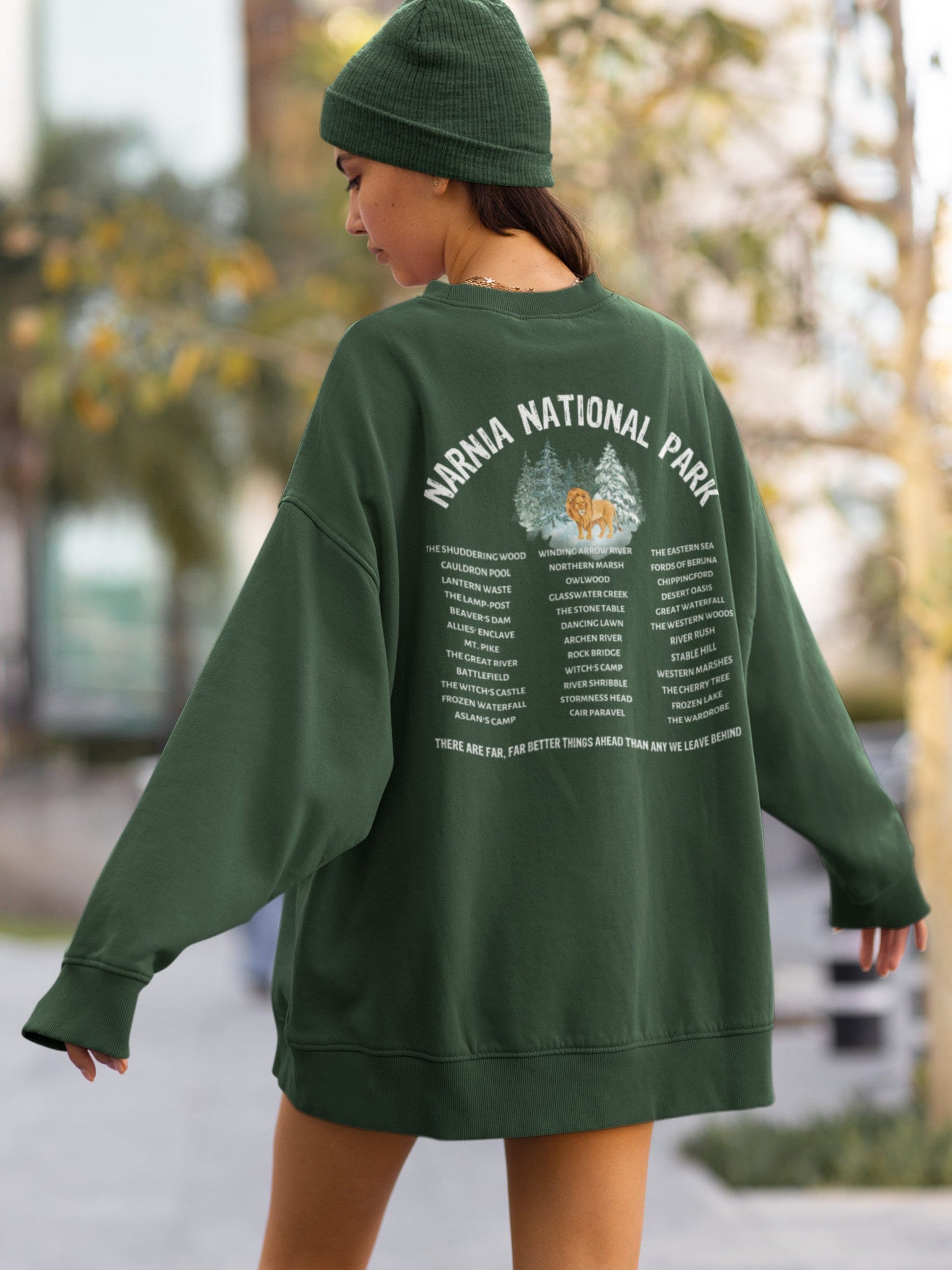 Narnia Fictional National Park Retro Minimalist Aesthetic Sweatshirt * Granola Girl Book Merch * Bookish Booktok Book Lover Gift for Readers