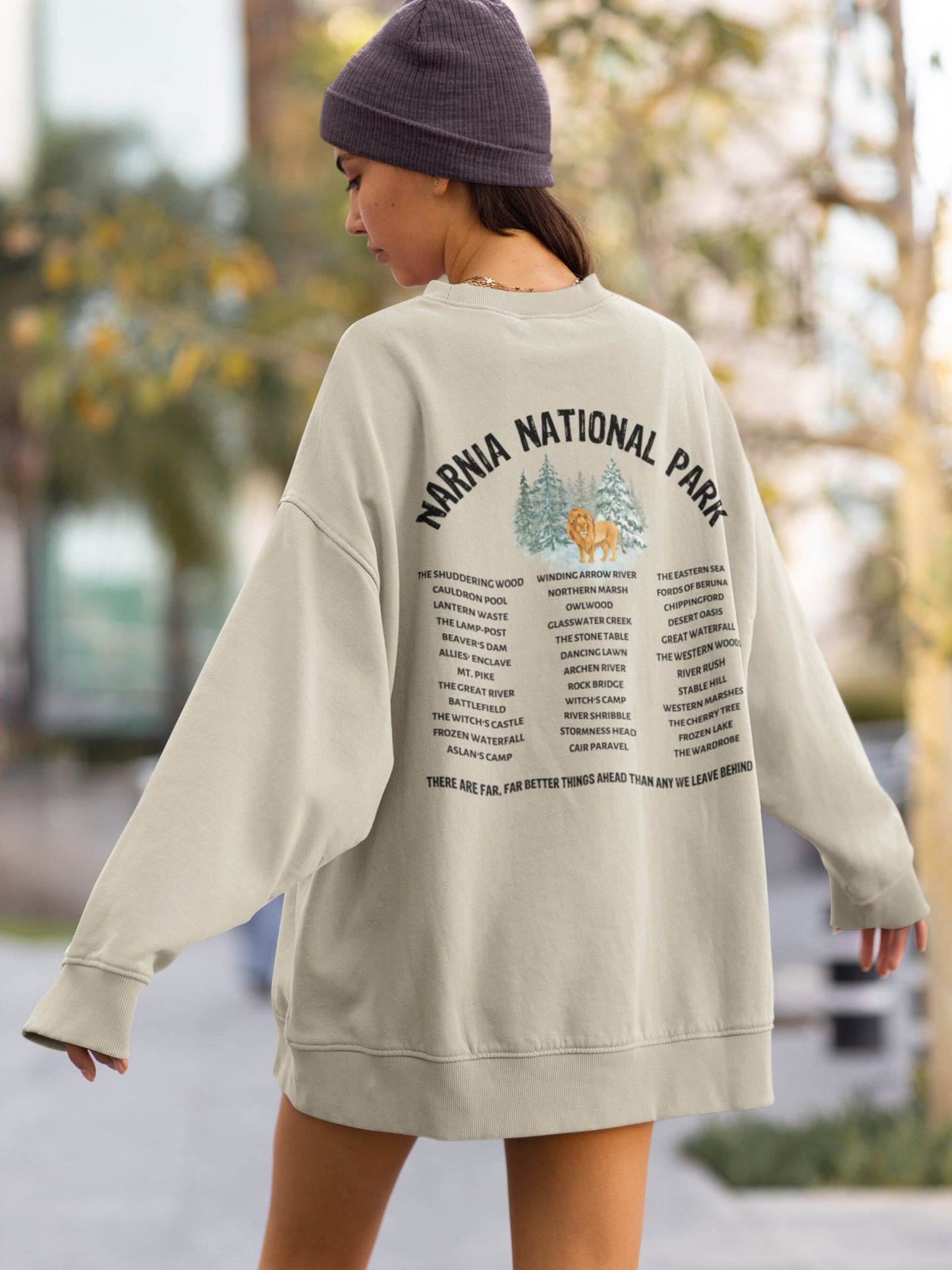 Narnia Fictional National Park Retro Minimalist Aesthetic Sweatshirt * Granola Girl Book Merch * Bookish Booktok Book Lover Gift for Readers