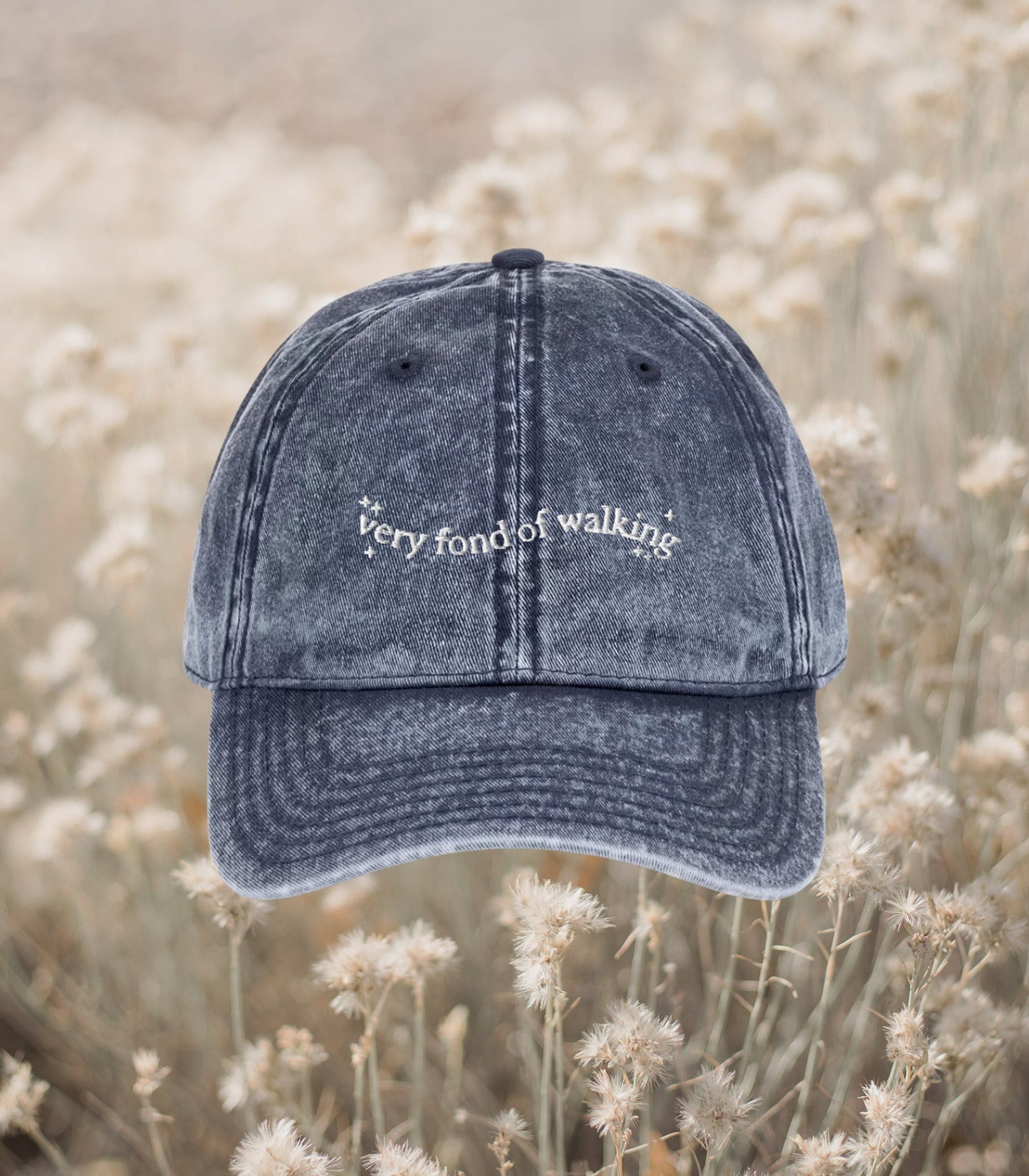 Very Fond of Walking Vintage Pride & Prejudice Embroidered Dad Hat