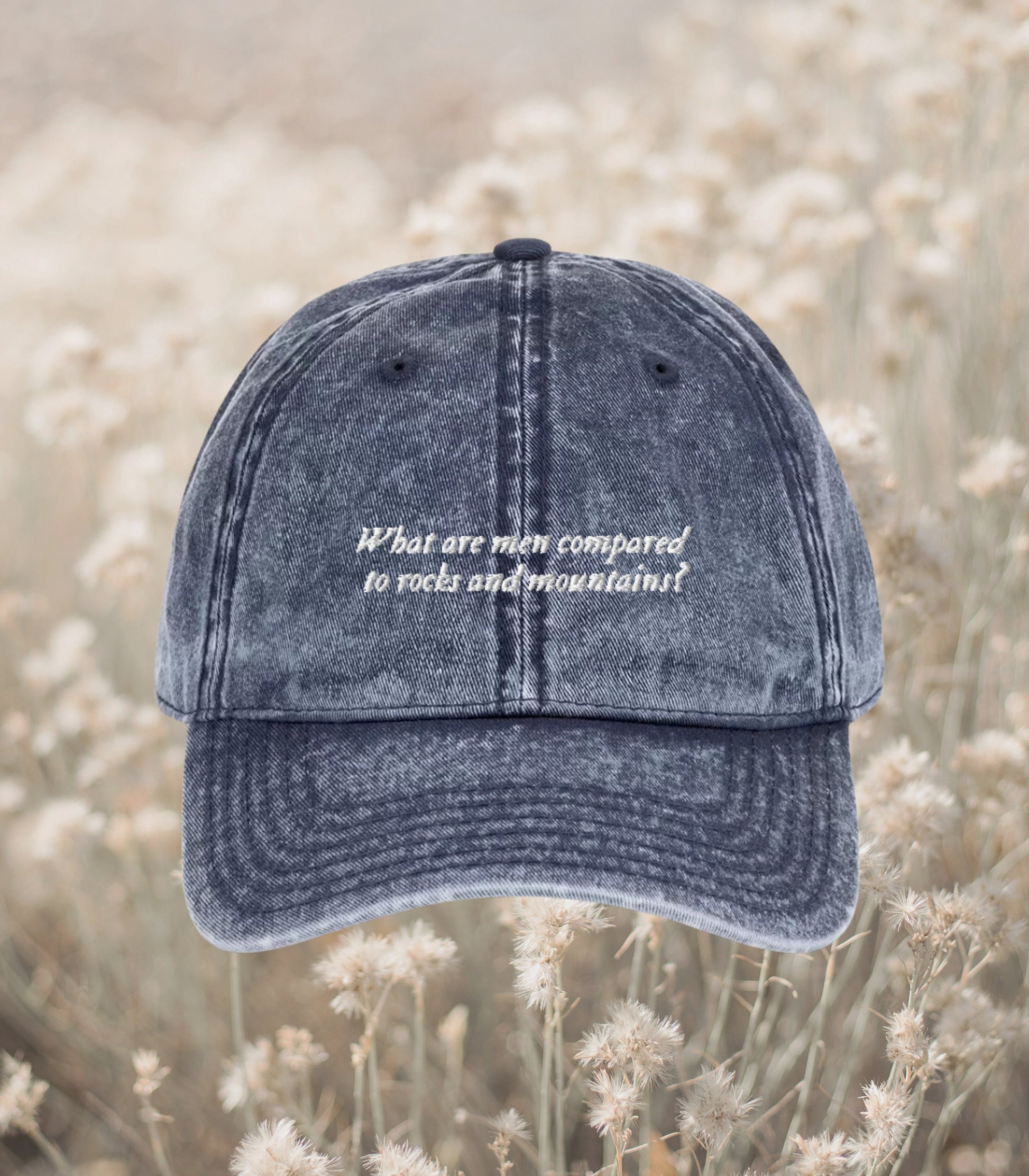 Pride & Prejudice What Are Men Compared to Rocks and Mountains Embroidered Dad Hat mr darcy elizabeth Bookish Gift Jane Austen Merch