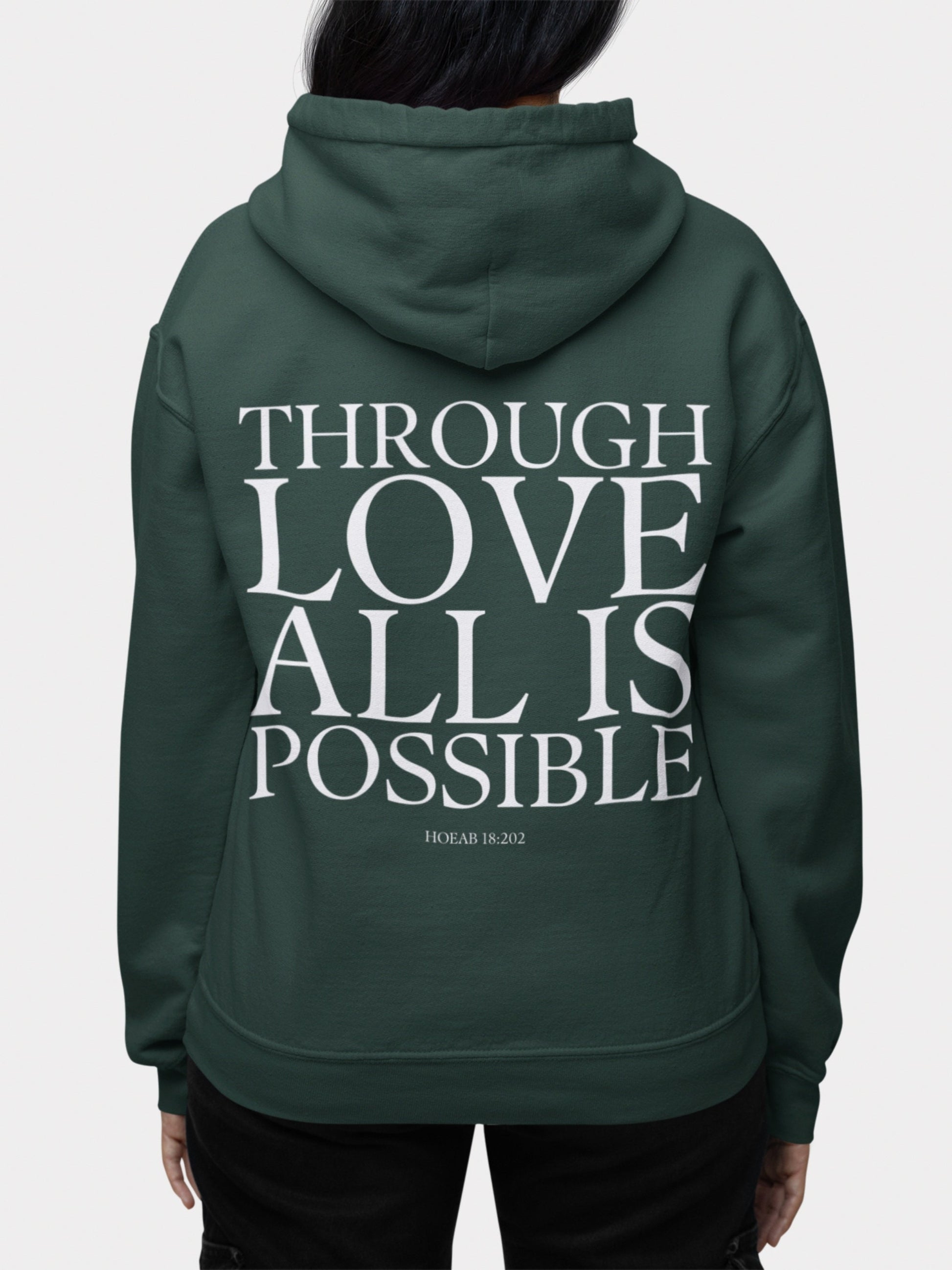 Crescent City HOEAB Through Love All is Possible * Danika Bryce Hunt Lehabah Pack of Devils * bible quote style hoodie bookish fandom merch