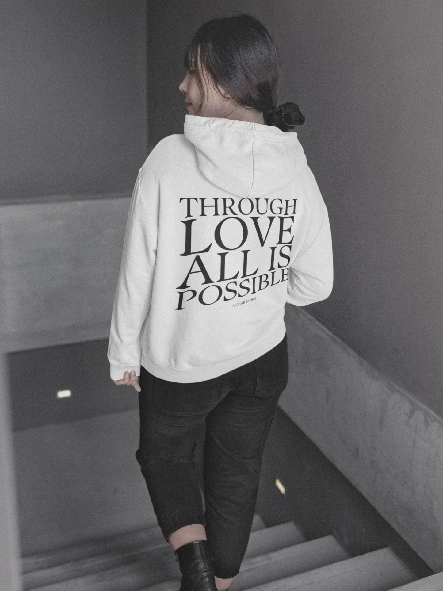 Crescent City HOEAB Through Love All is Possible * Danika Bryce Hunt Lehabah Pack of Devils * bible quote style hoodie bookish fandom merch