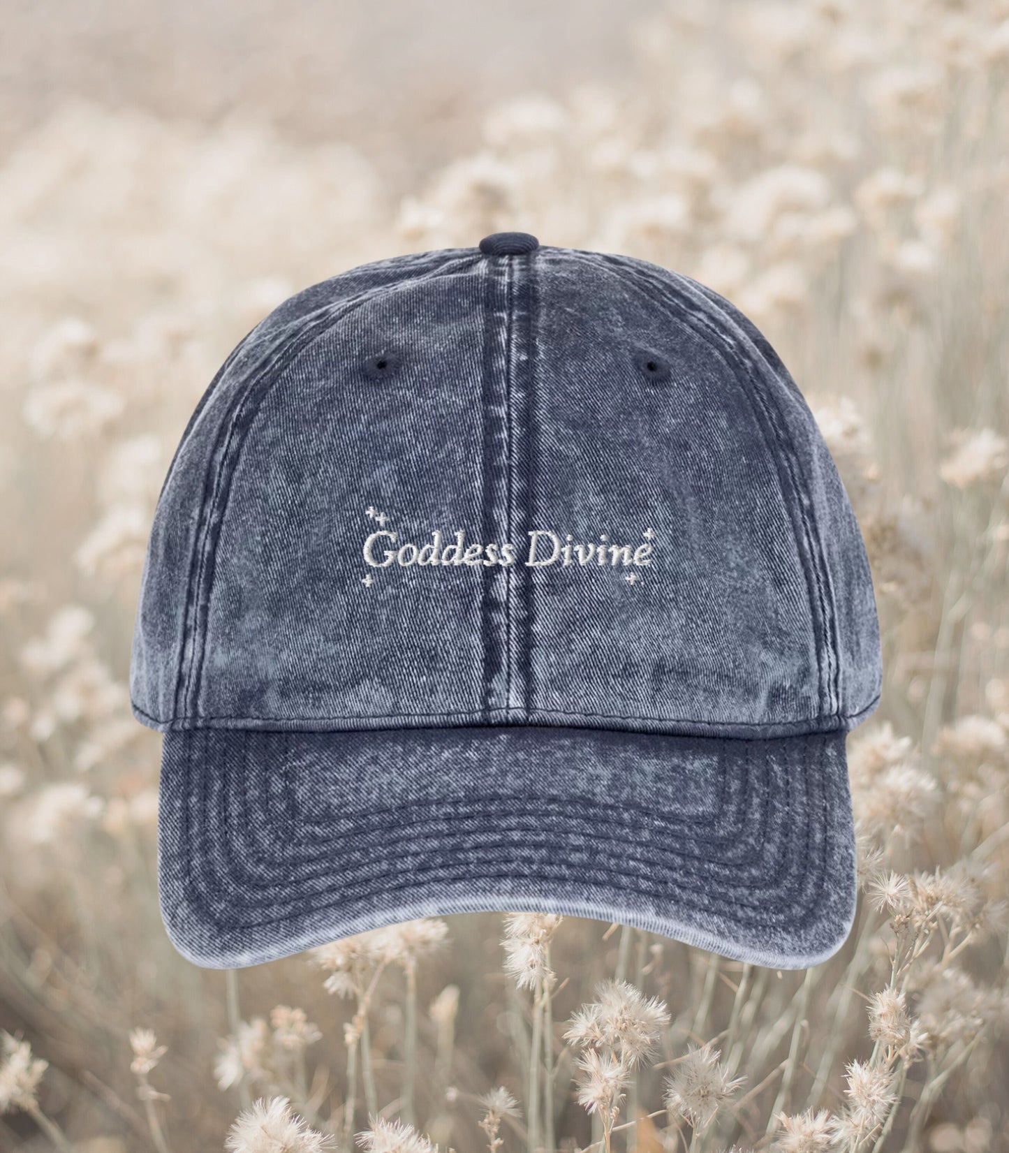 Pride & Prejudice Goddess Divine Vintage Embroidered Dad Hat * pemberley mr darcy elizabeth * Literature Bookish Gift Jane Austen Merch