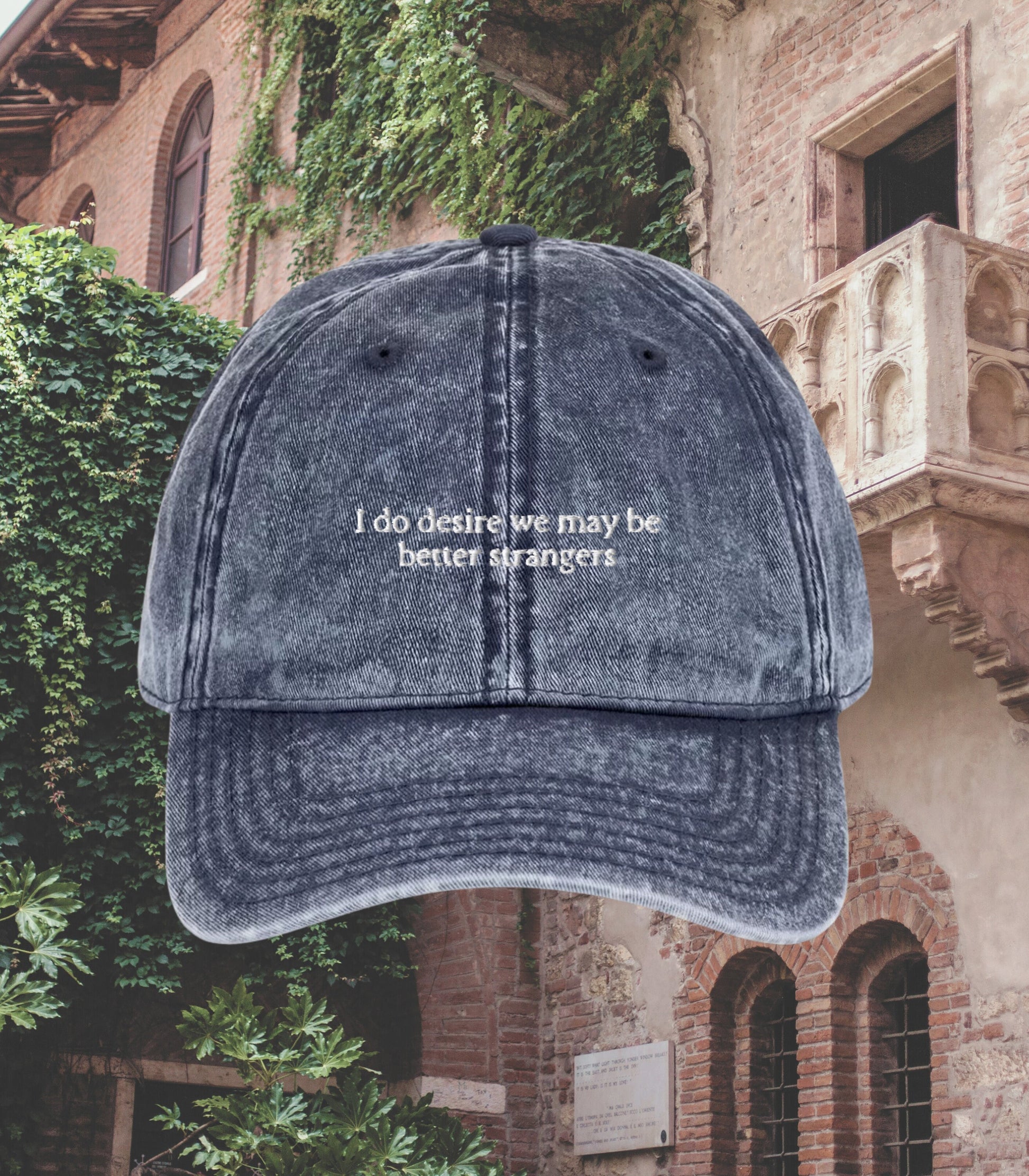 Shakespearean insult better strangers embroidered dad hat aesthetic Shakespeare bookish fandom merch gift drama theater funny dark academia