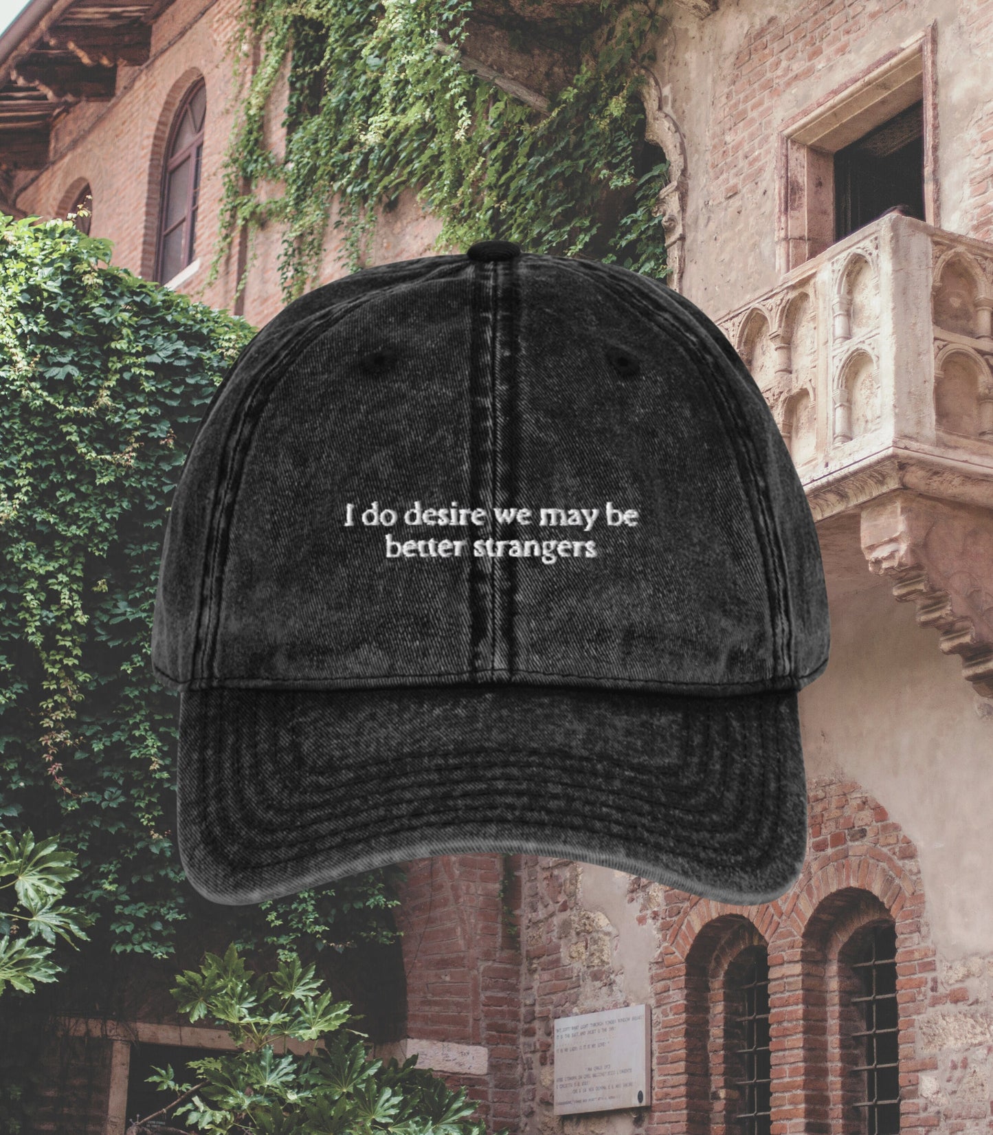 Shakespearean insult better strangers embroidered dad hat aesthetic Shakespeare bookish fandom merch gift drama theater funny dark academia