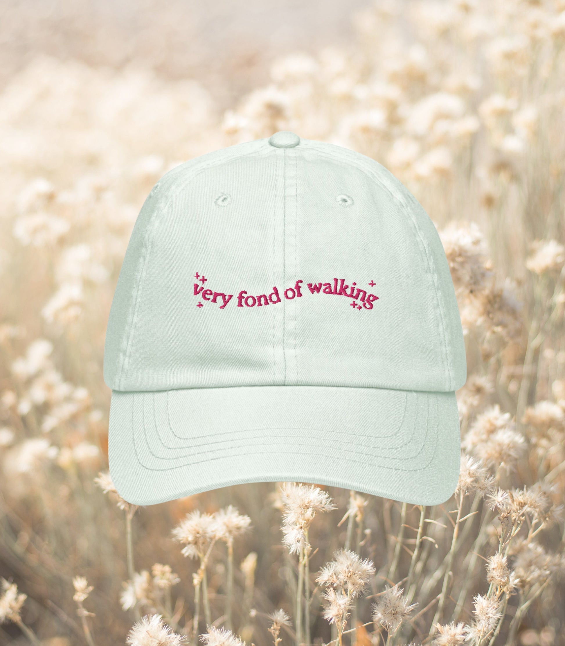 Pride & Prejudice Fond of Walking Vintage Pastel Girlie Embroidered Bookish Dad Hat * pemberley mr darcy * Literature Gift Jane Austen Merch