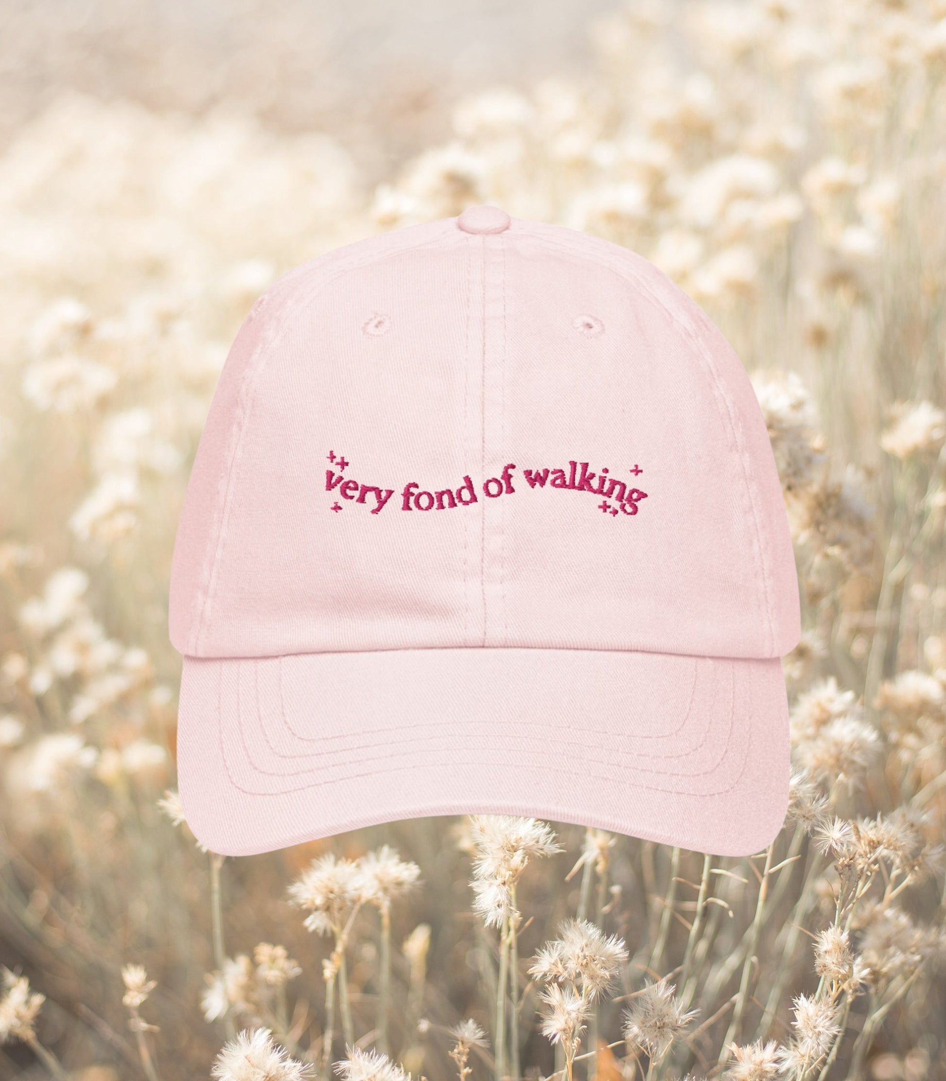 Pride & Prejudice Fond of Walking Vintage Pastel Girlie Embroidered Bookish Dad Hat * pemberley mr darcy * Literature Gift Jane Austen Merch