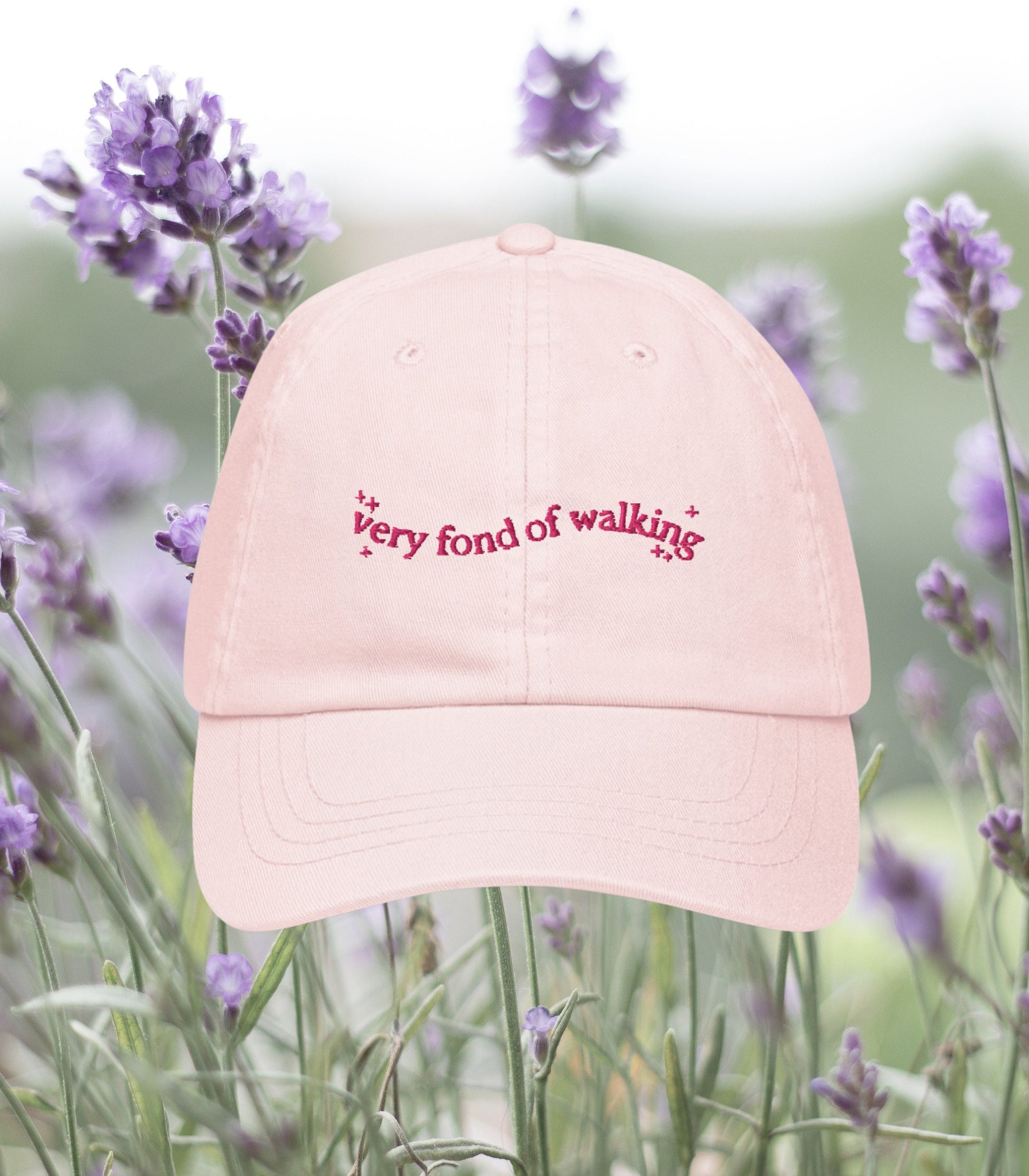 Pride & Prejudice Fond of Walking Vintage Pastel Girlie Embroidered Bookish Dad Hat * pemberley mr darcy * Literature Gift Jane Austen Merch