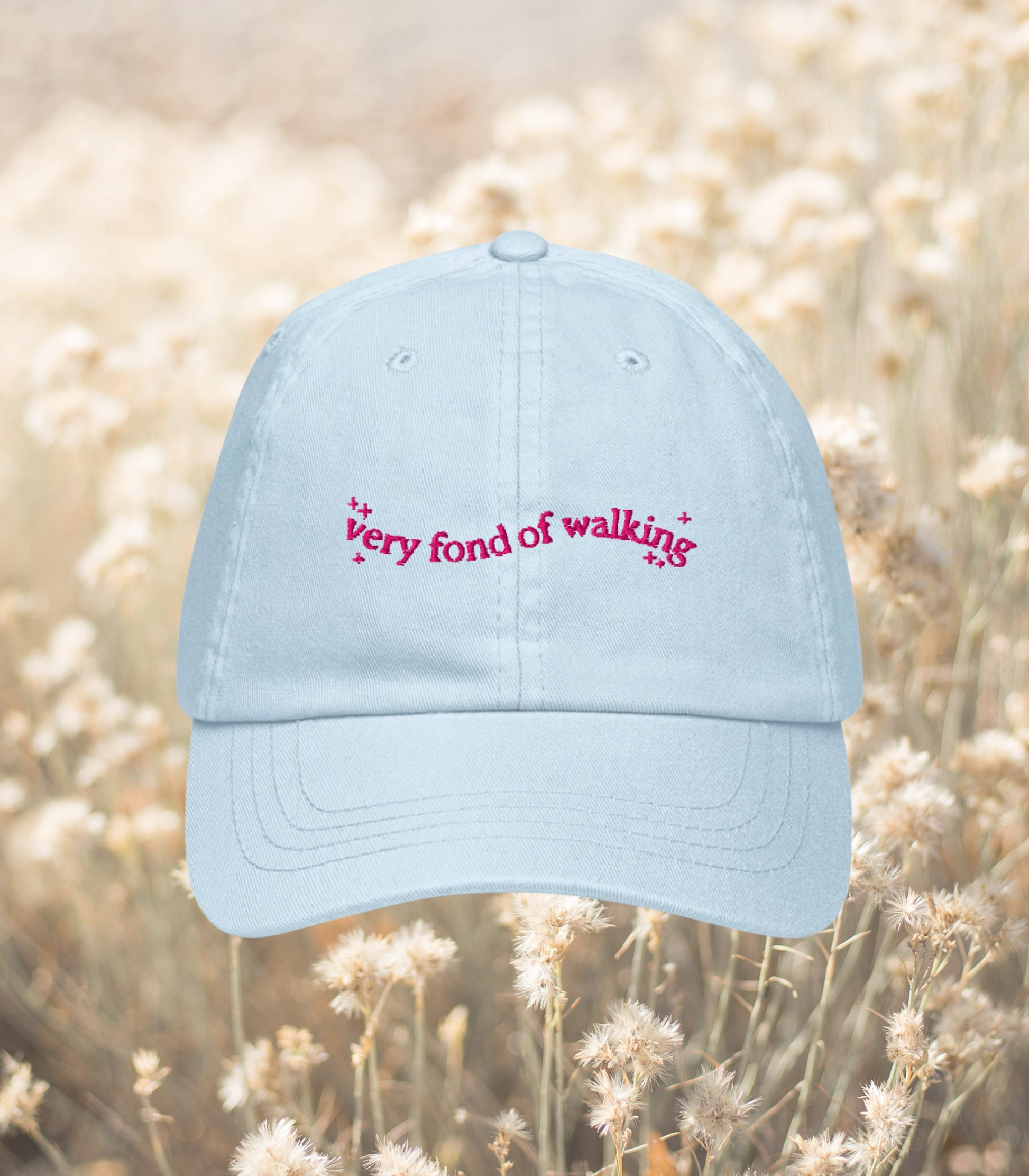 Very Fond of Walking * Pastel Pride & Prejudice Embroidered Bookish Dad Hat