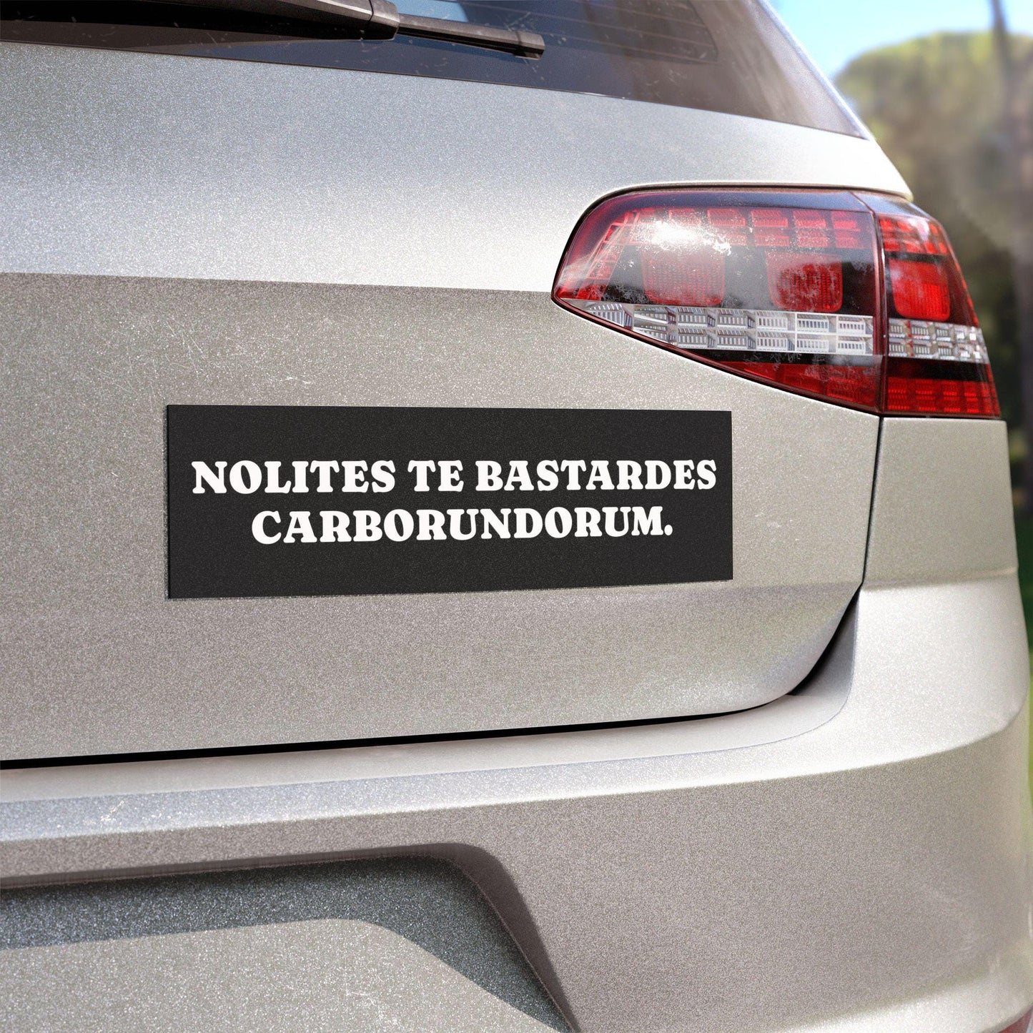 Car Magnet Handmaid's Tale Nolite te bastardes carborundorum * Blessed be the fruit Feminist Rage MATGA Smash Patriarchy Bumper Sticker