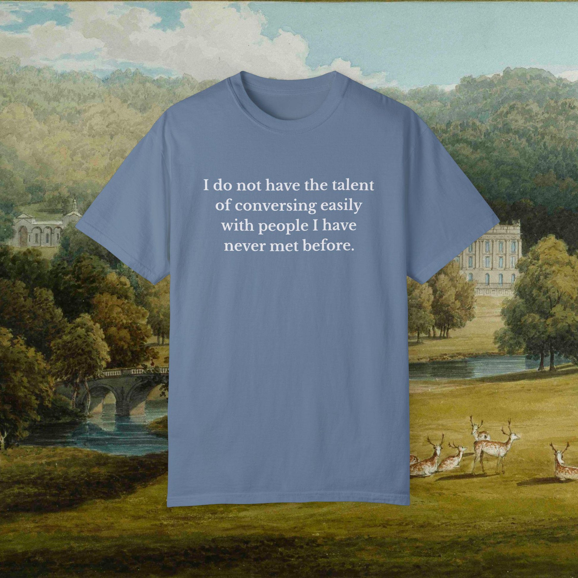Pride & Prejudice Funny Introverted Cotton Colors Tee * Jane Austen 20th anniversary Merch Fandom Bookish Gift Pemberley Mr Darcy Hand Flex