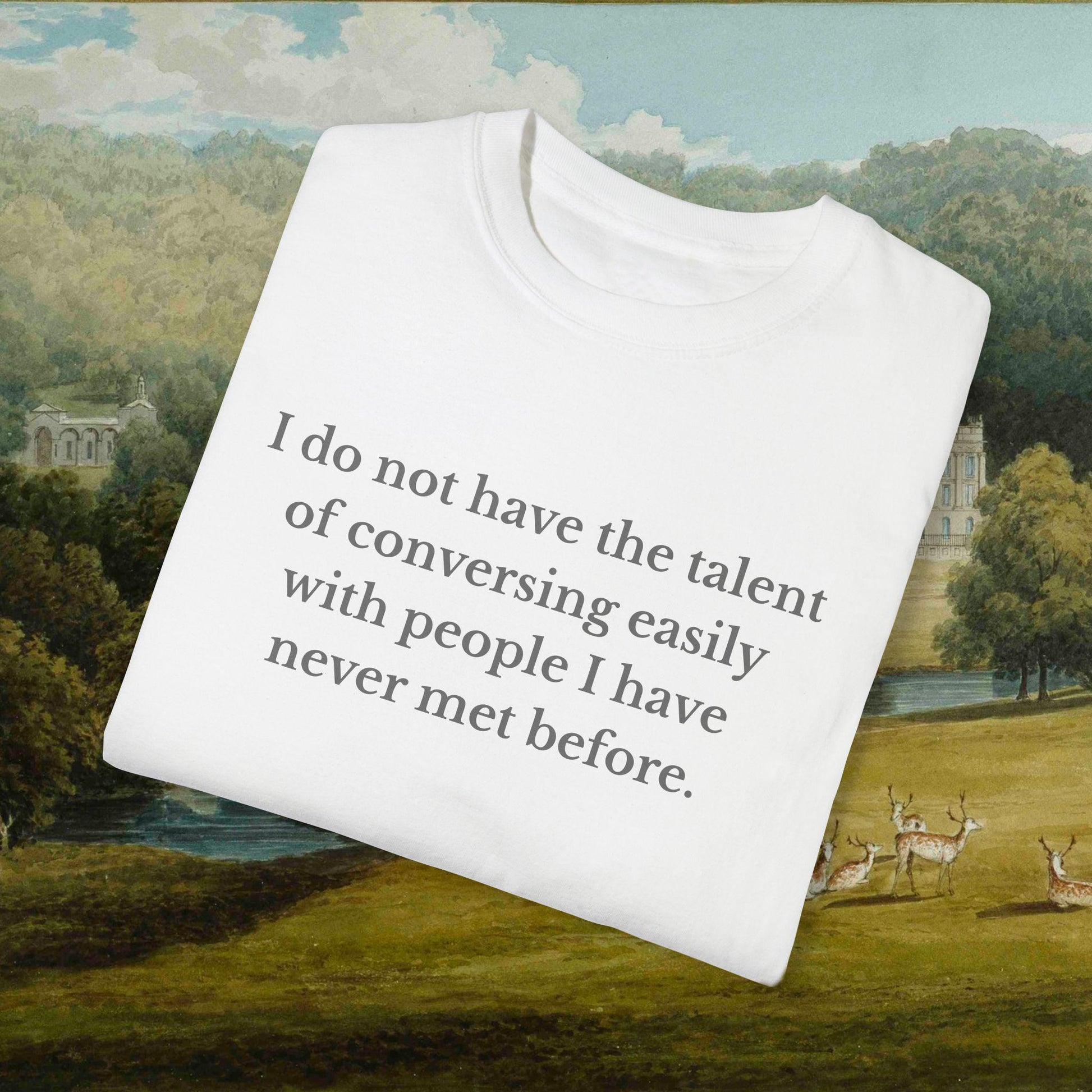 Pride & Prejudice Funny Introverted Cotton Colors Tee * Jane Austen 20th anniversary Merch Fandom Bookish Gift Pemberley Mr Darcy Hand Flex