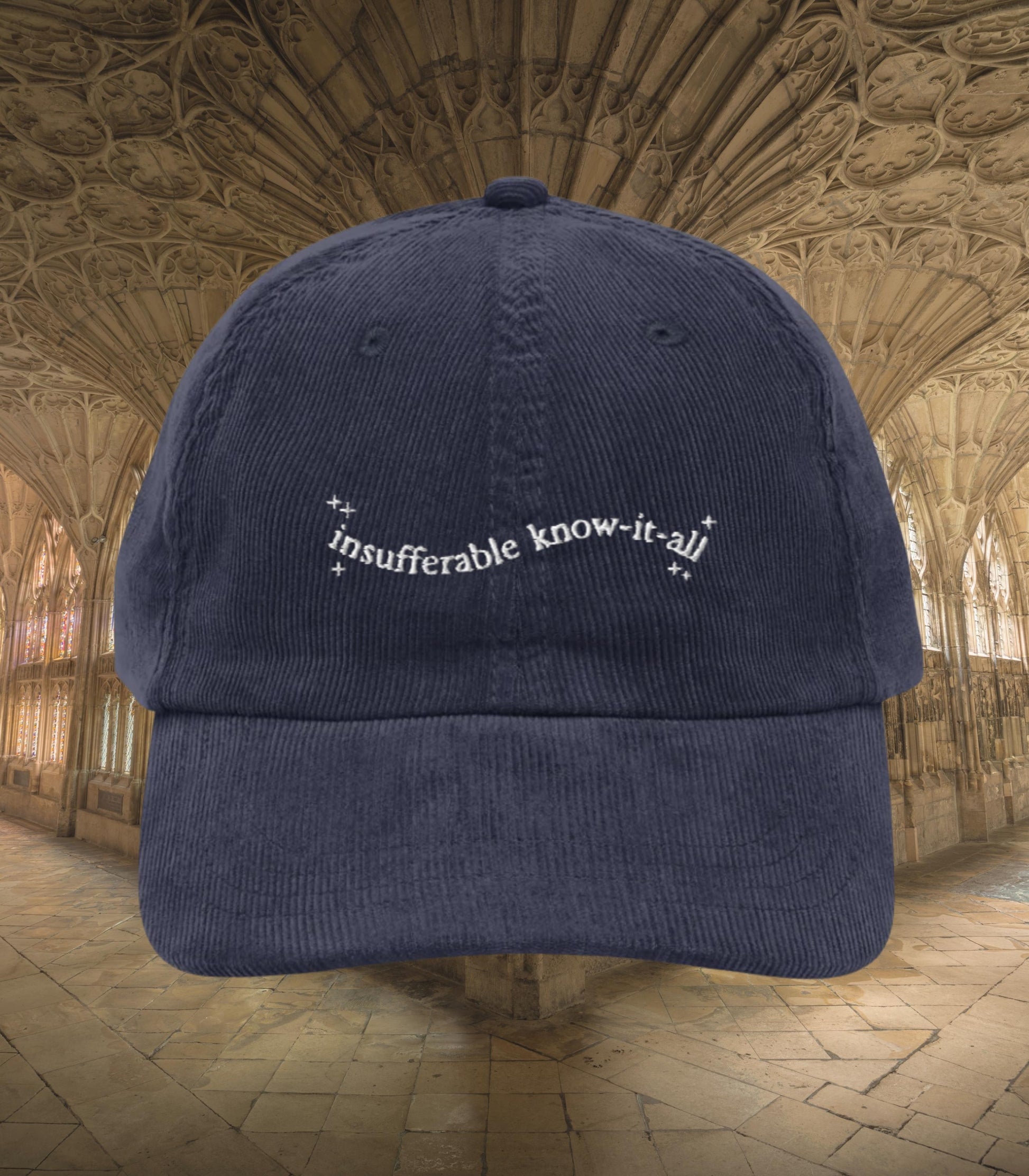 Insufferable know it all embroidered corduroy dad hat turn to page 394 wizard school marauders dark academia sirius remus bookish grad gift