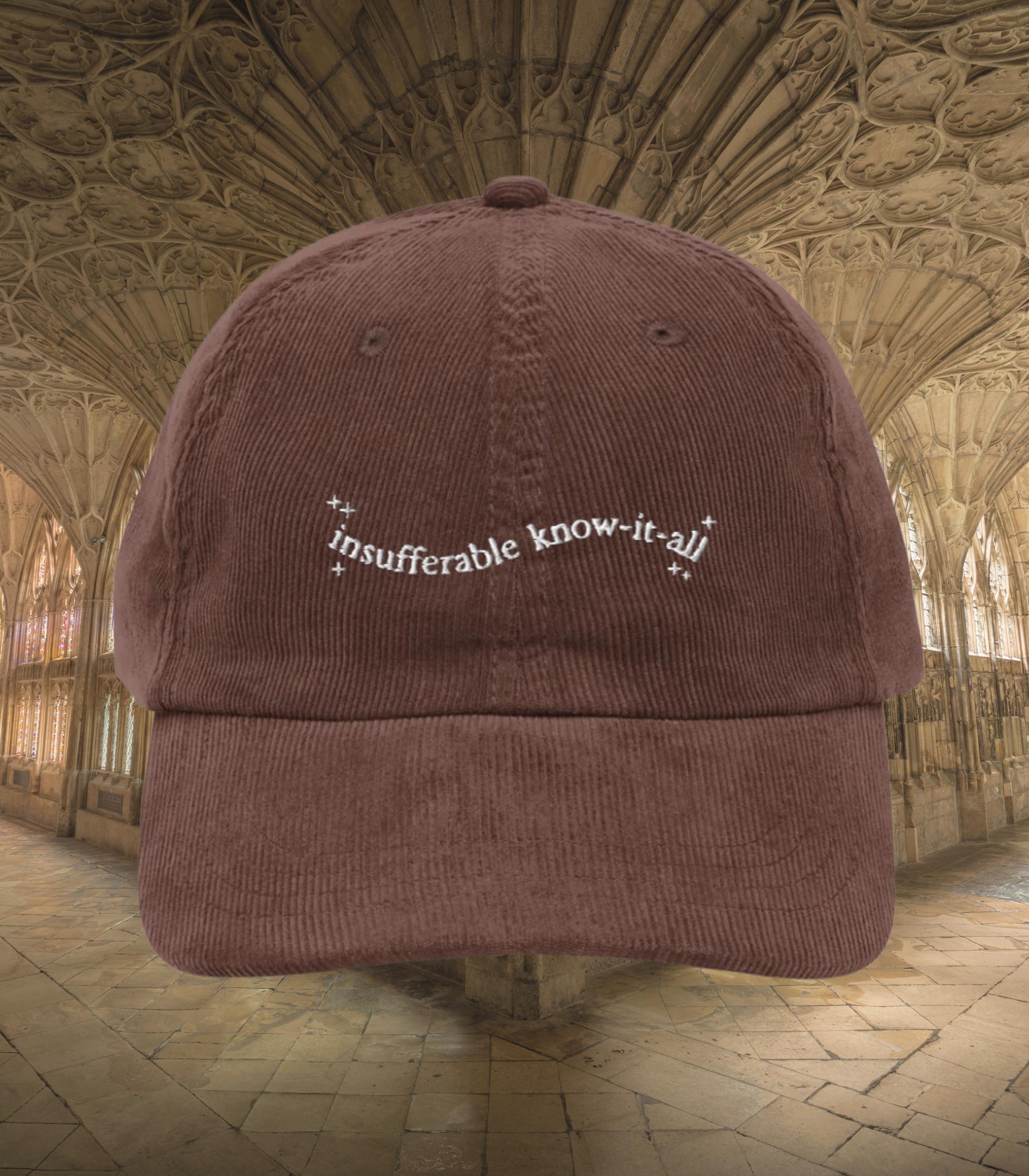Insufferable know it all embroidered corduroy dad hat turn to page 394 wizard school marauders dark academia sirius remus bookish grad gift