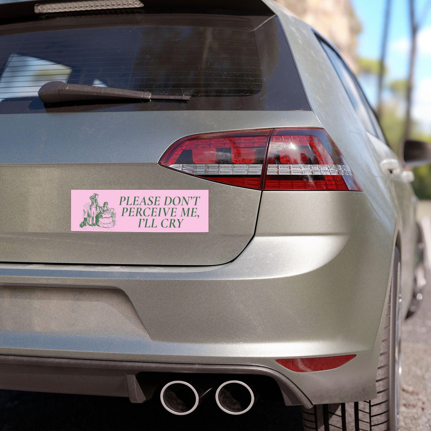 Unhinged Meme Car Bumper Magnet Sticker Please don't perceive me or I'll cry Vintage Girly Car Accessory New Anxious Driver Gift Neurospicy