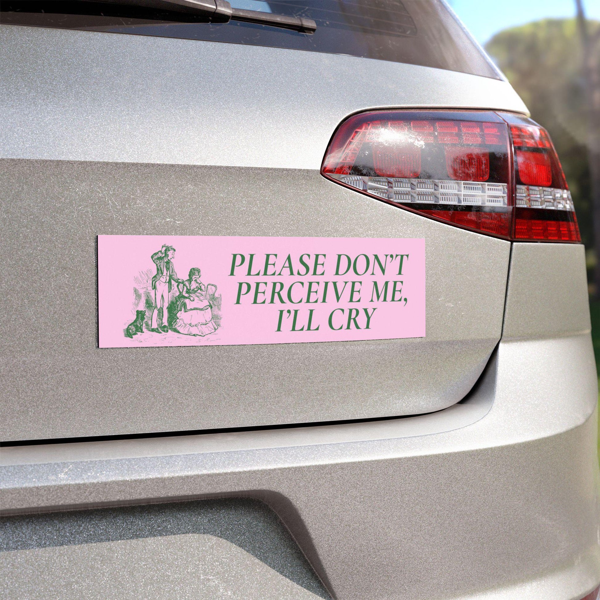 Unhinged Meme Car Bumper Magnet Sticker Please don't perceive me or I'll cry Vintage Girly Car Accessory New Anxious Driver Gift Neurospicy